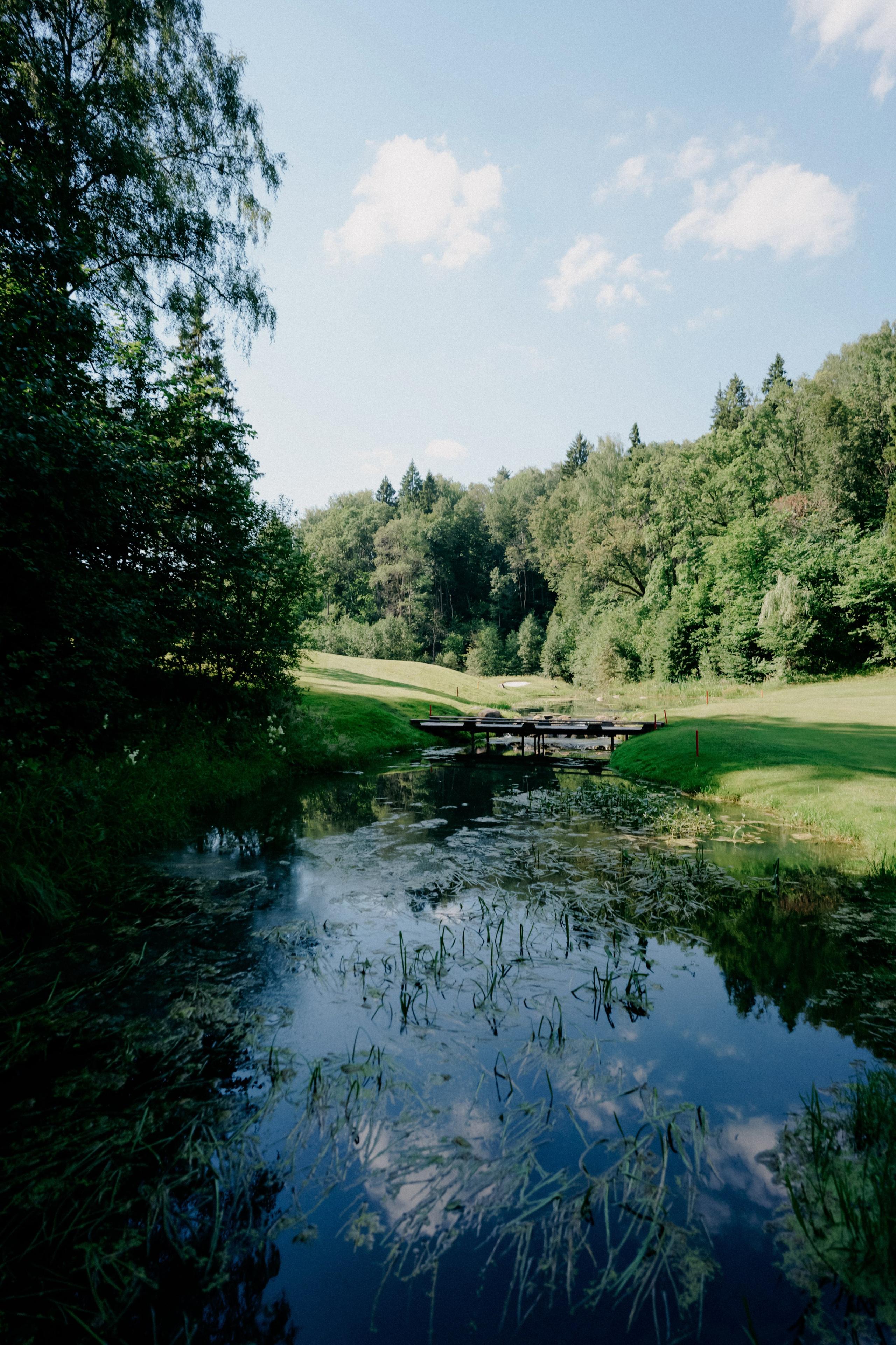 Целеево. Фотограф в Москве Дмитрий Рогов