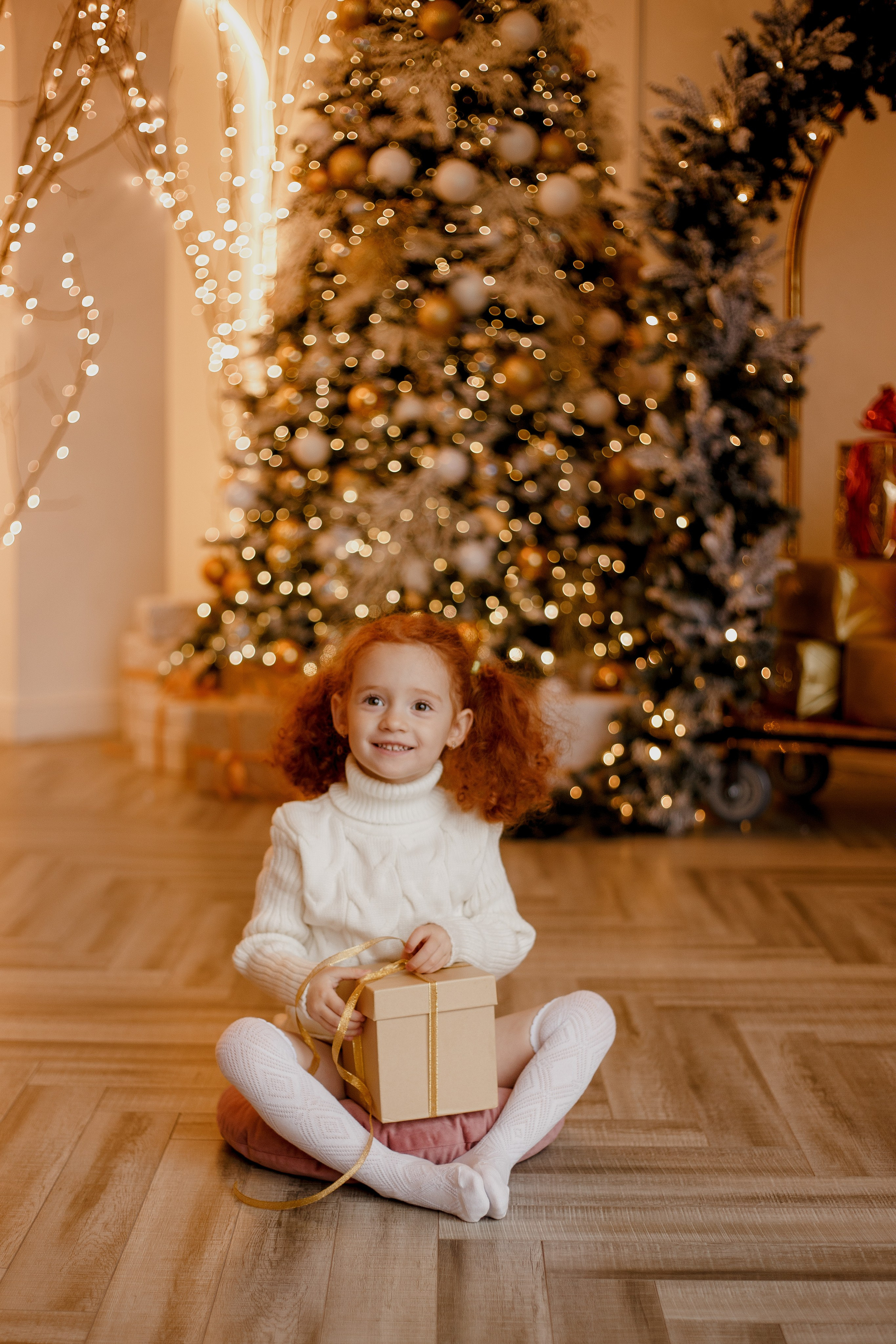 Новогодняя семейная . Наталья. Свадебный фотограф Санкт-Петербург  Москва