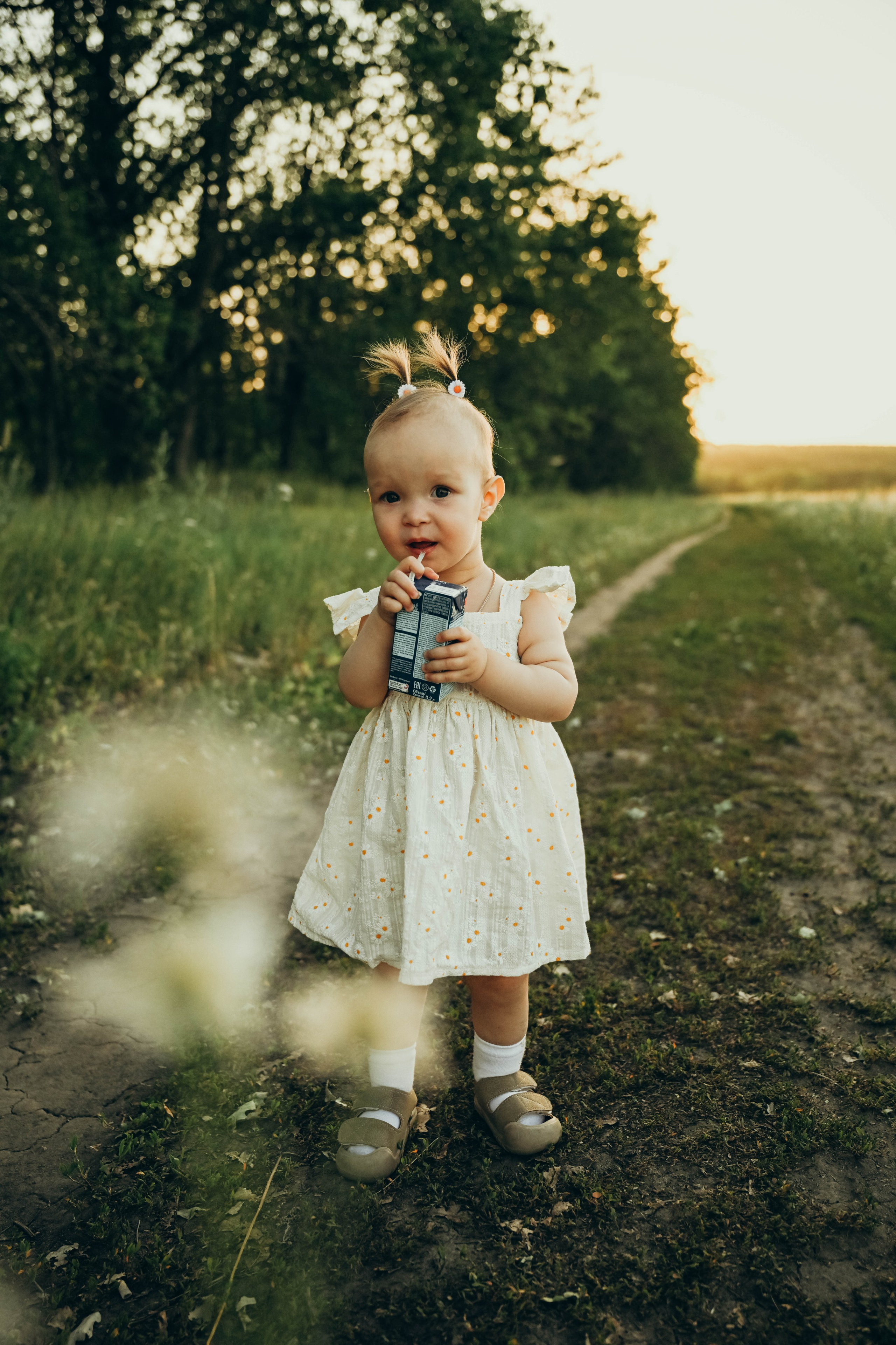 Ромашковое поле. Семейный фотограф в Москве Люберцах Ирина Вронская