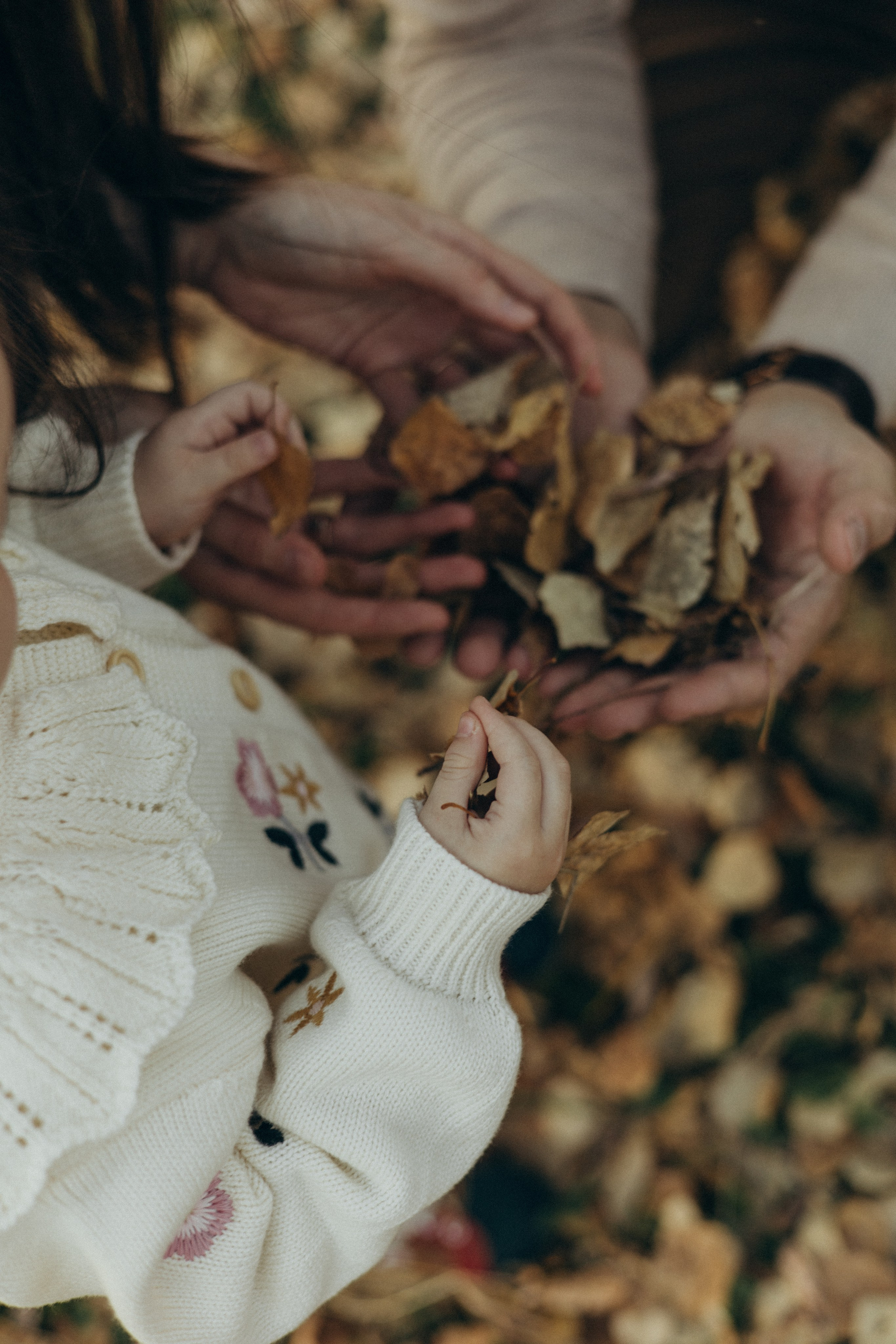 Счастливые мгновения осени. Фотограф в г. Чита