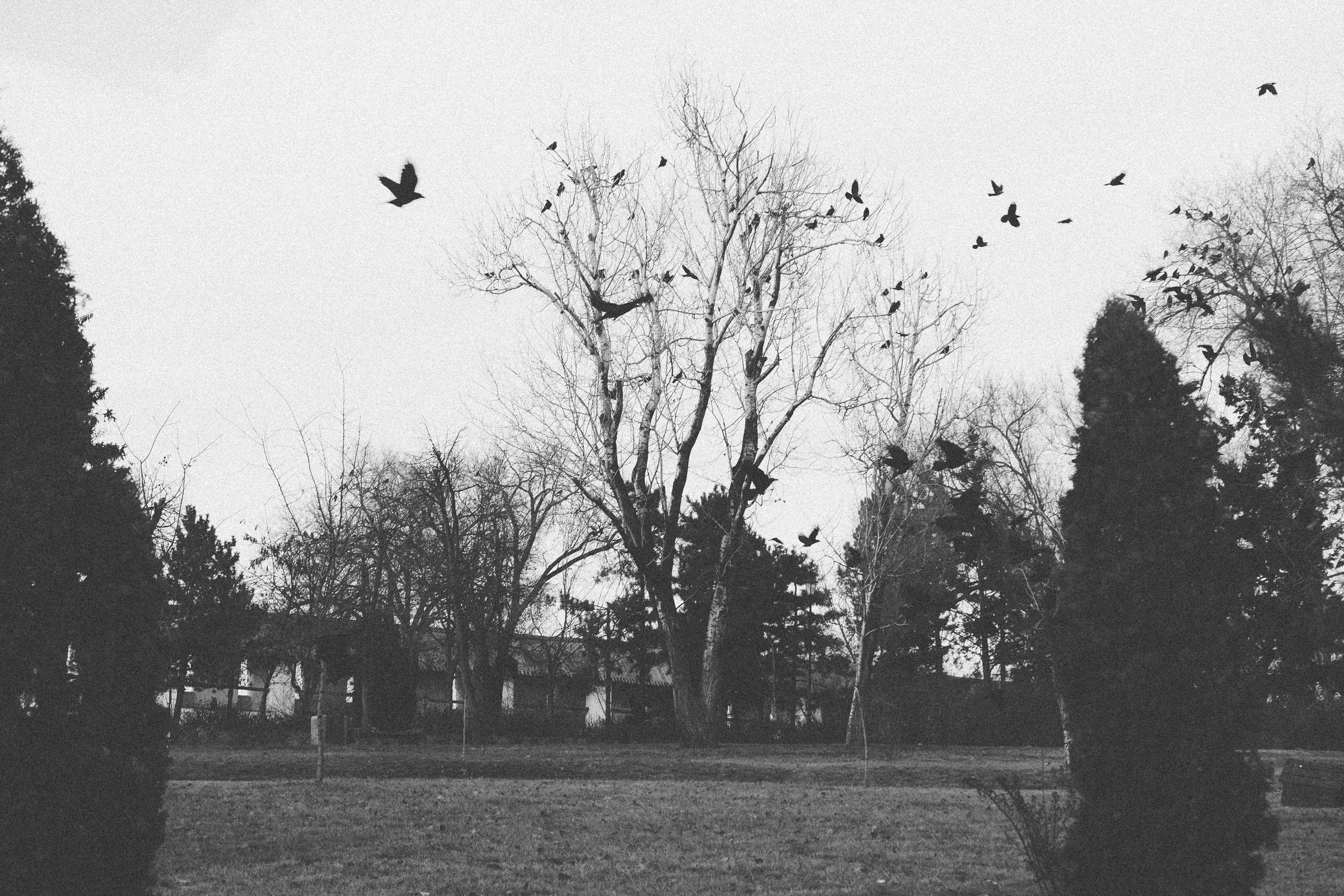 Розовый закат. Фотограф Анатолий Деникин