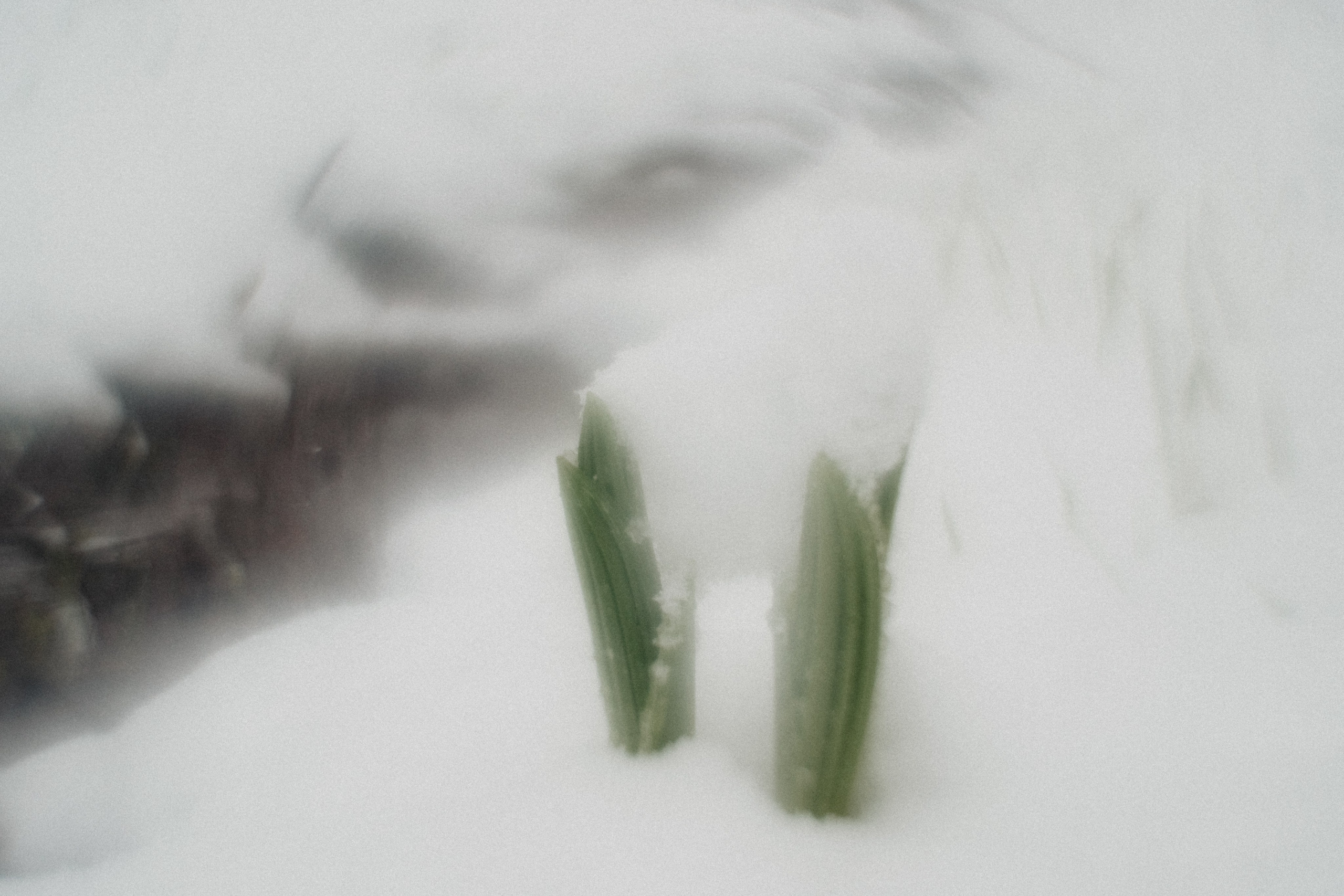 Южный Урал. Окрестности Ялангаса | Май 2024. Andrew Sozonov visual artist