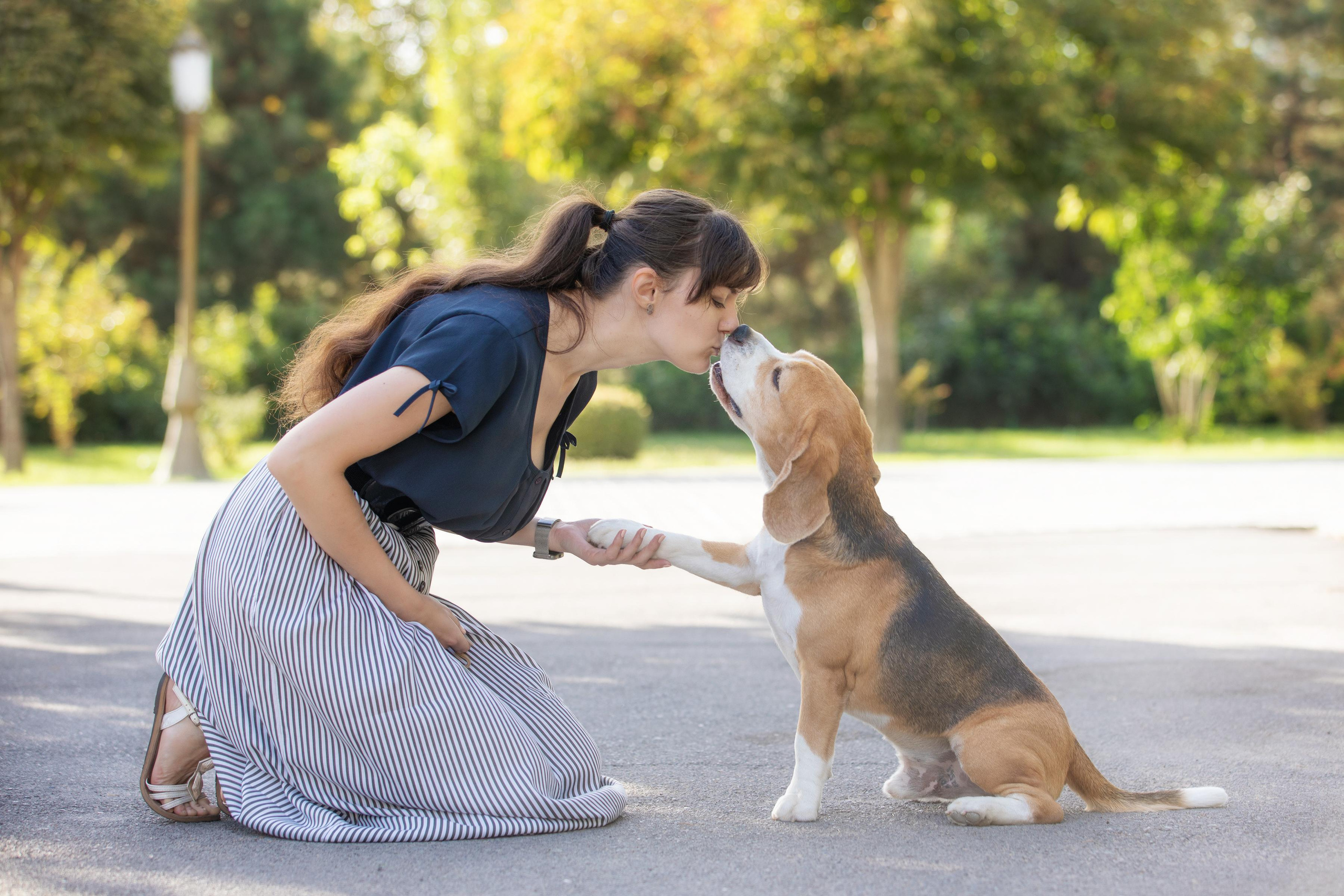 Собаки и не только. Фотограф Алена Звездина
