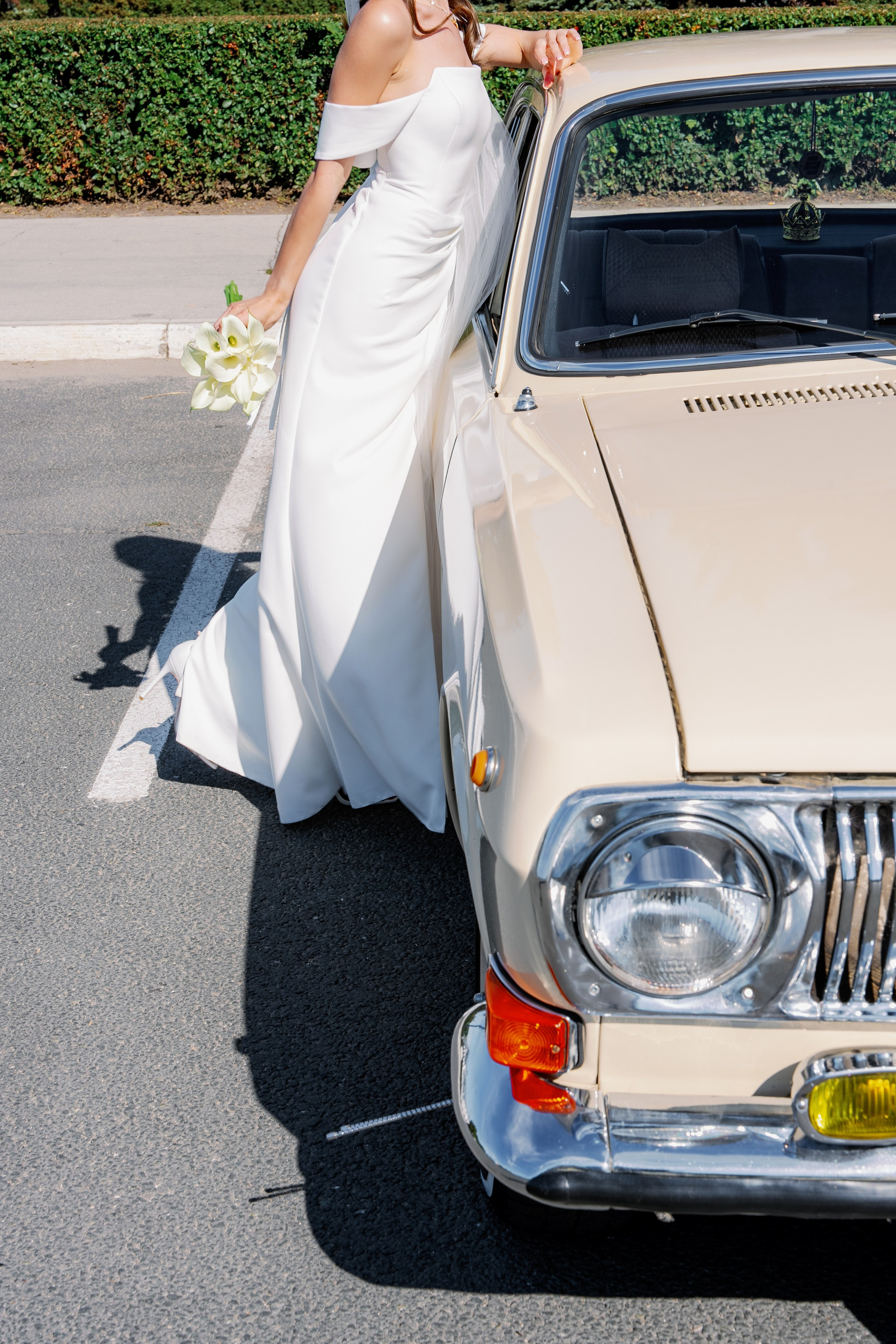 Дмитрий и Анастасия 2024