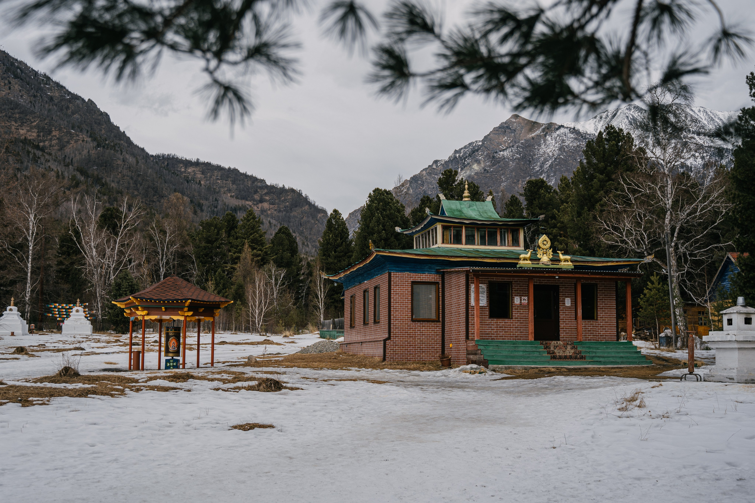 Бурятия, Аршан 2024. Фотограф Ольга Пучкова