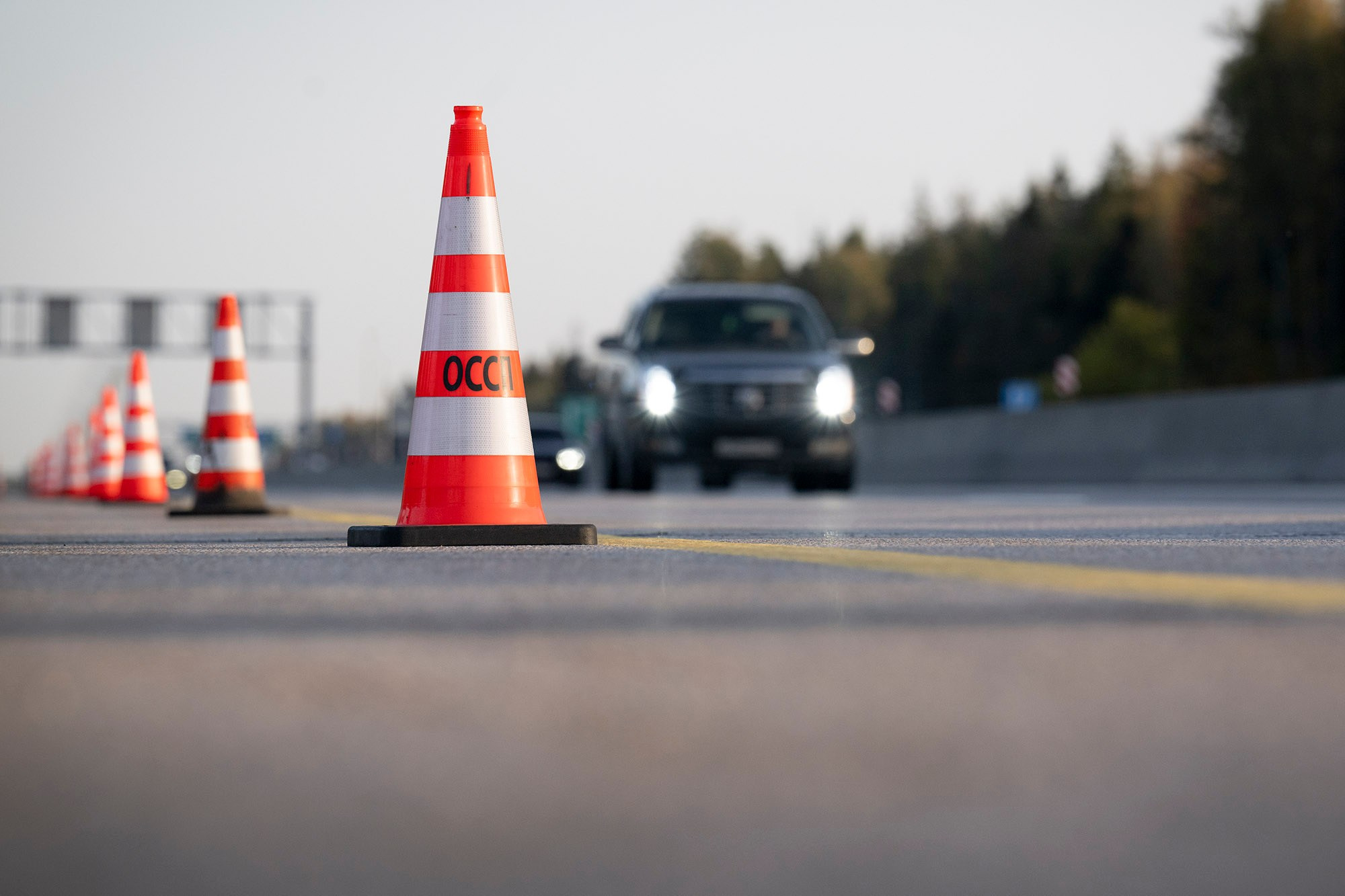 © Natalia Kolesnikova