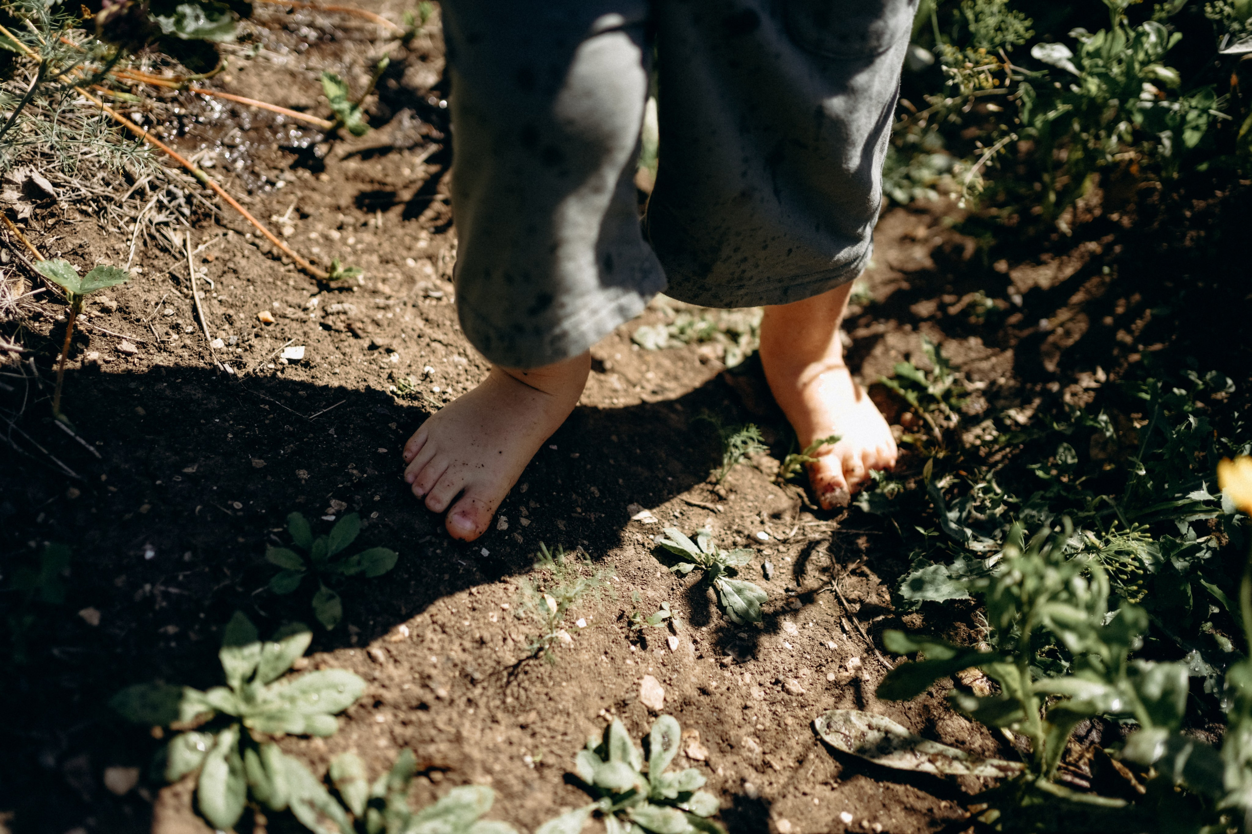 В саду. Фотограф Перевозкина Анна