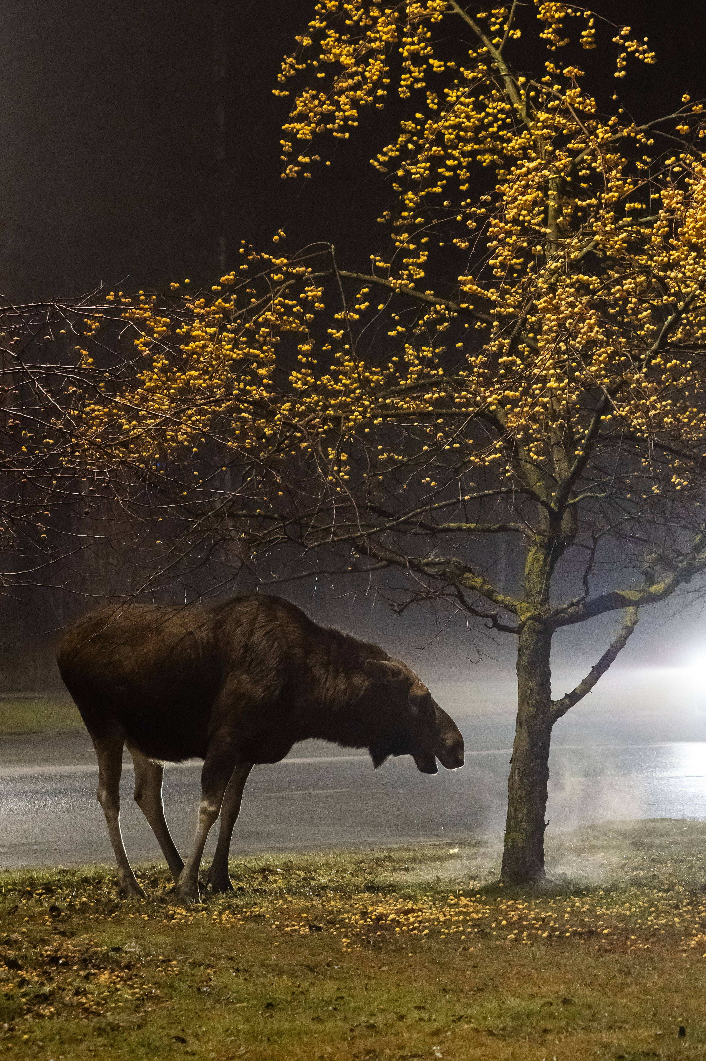 Красота Заречного. Репортажный, семейный и детский фотограф в Пензе и Заречном Арина Ермилова. Картины барельеф на заказ