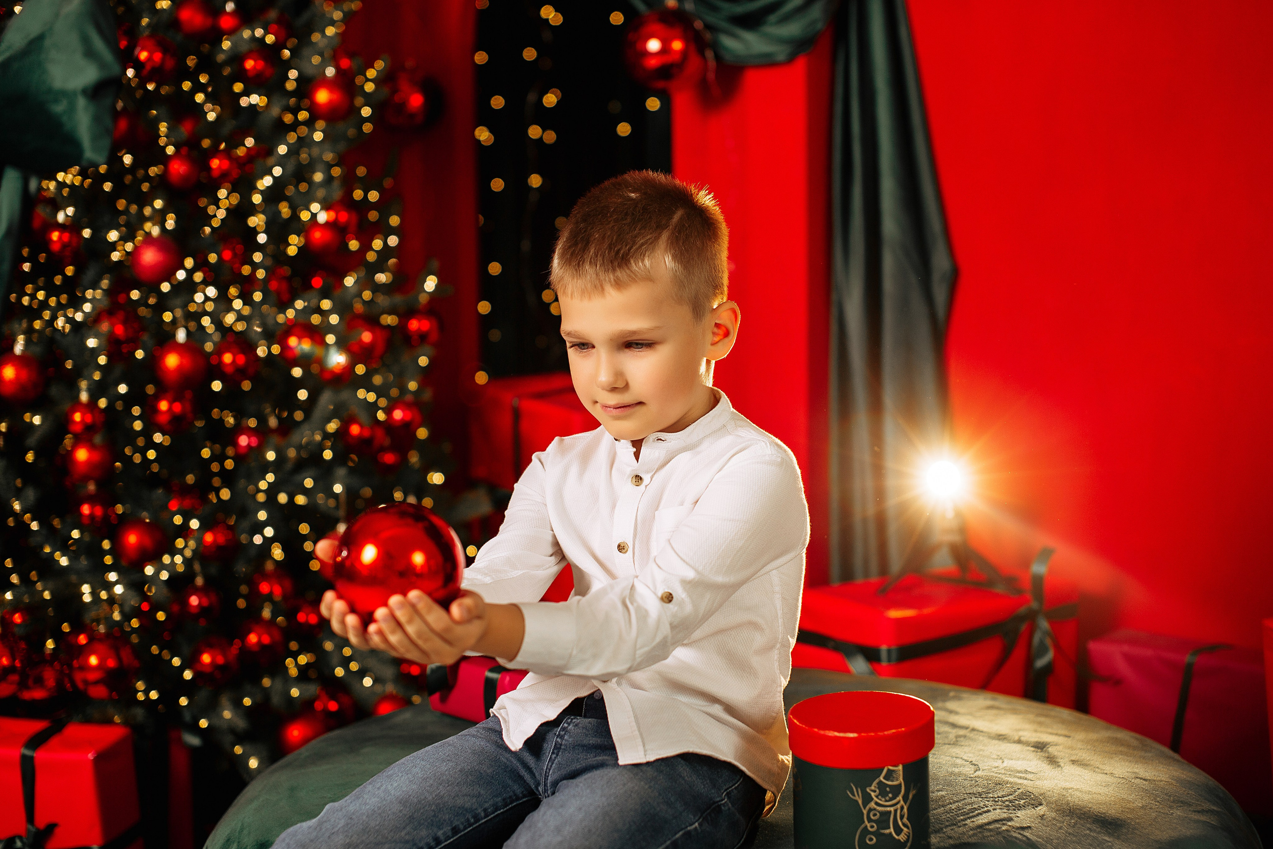 Новогодняя. Https://malovafoto.ru