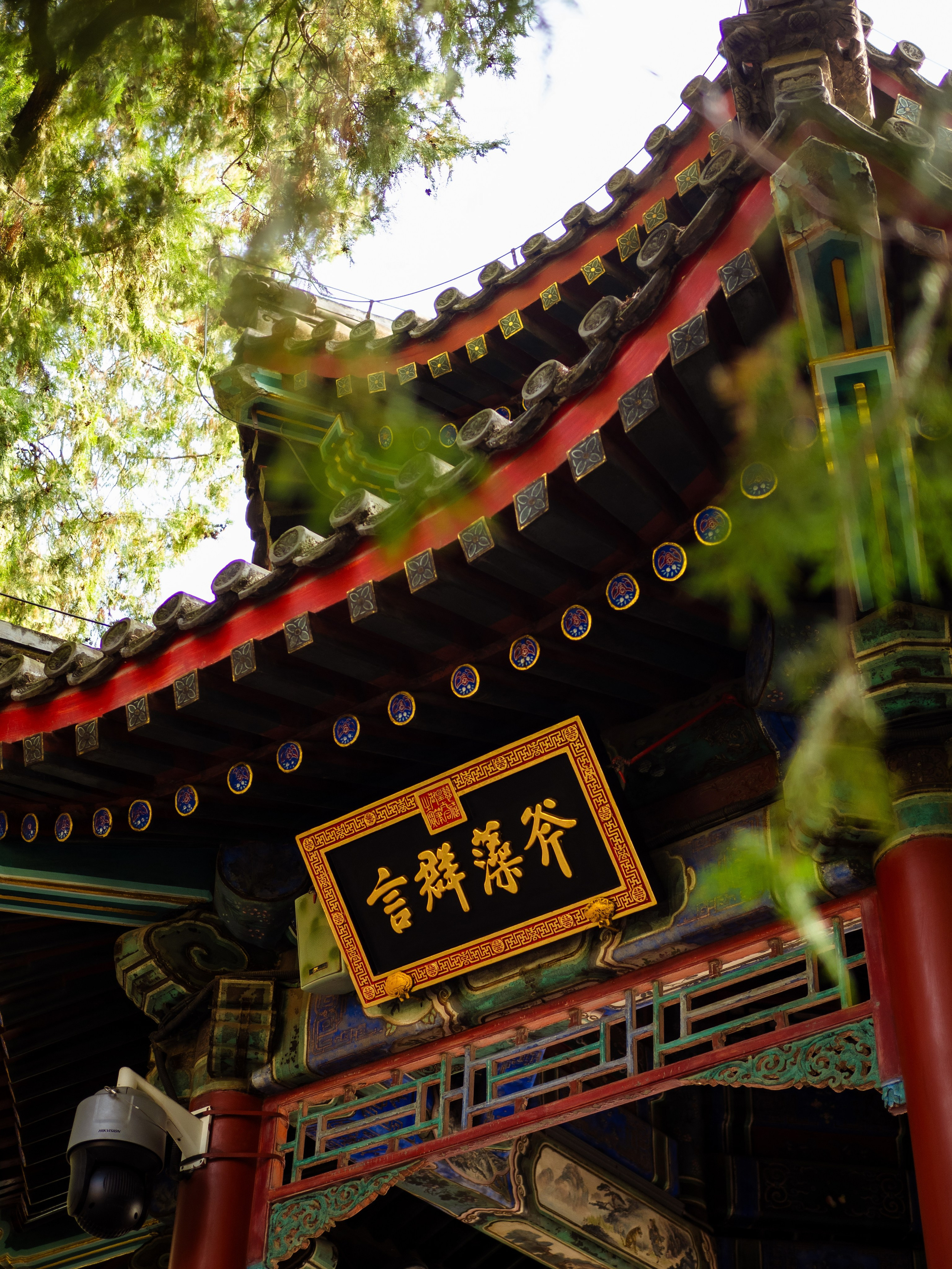 INTERNATIONAL PROFESSIONAL SKILLS INSTRUCTOR. CHINA 2024. Кулишова Катерина — твой фотограф