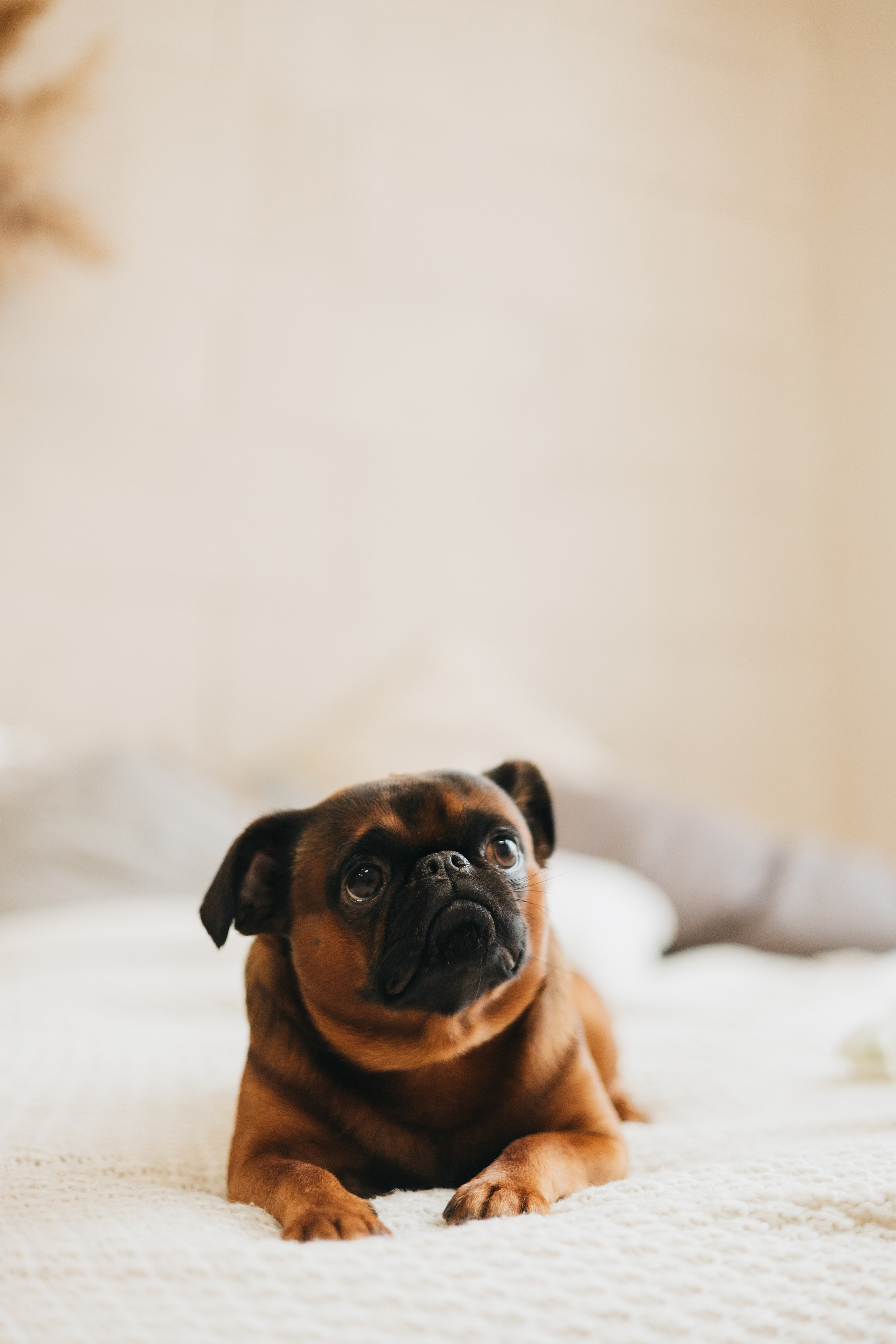 Фотограф животных Евгения Верцинская