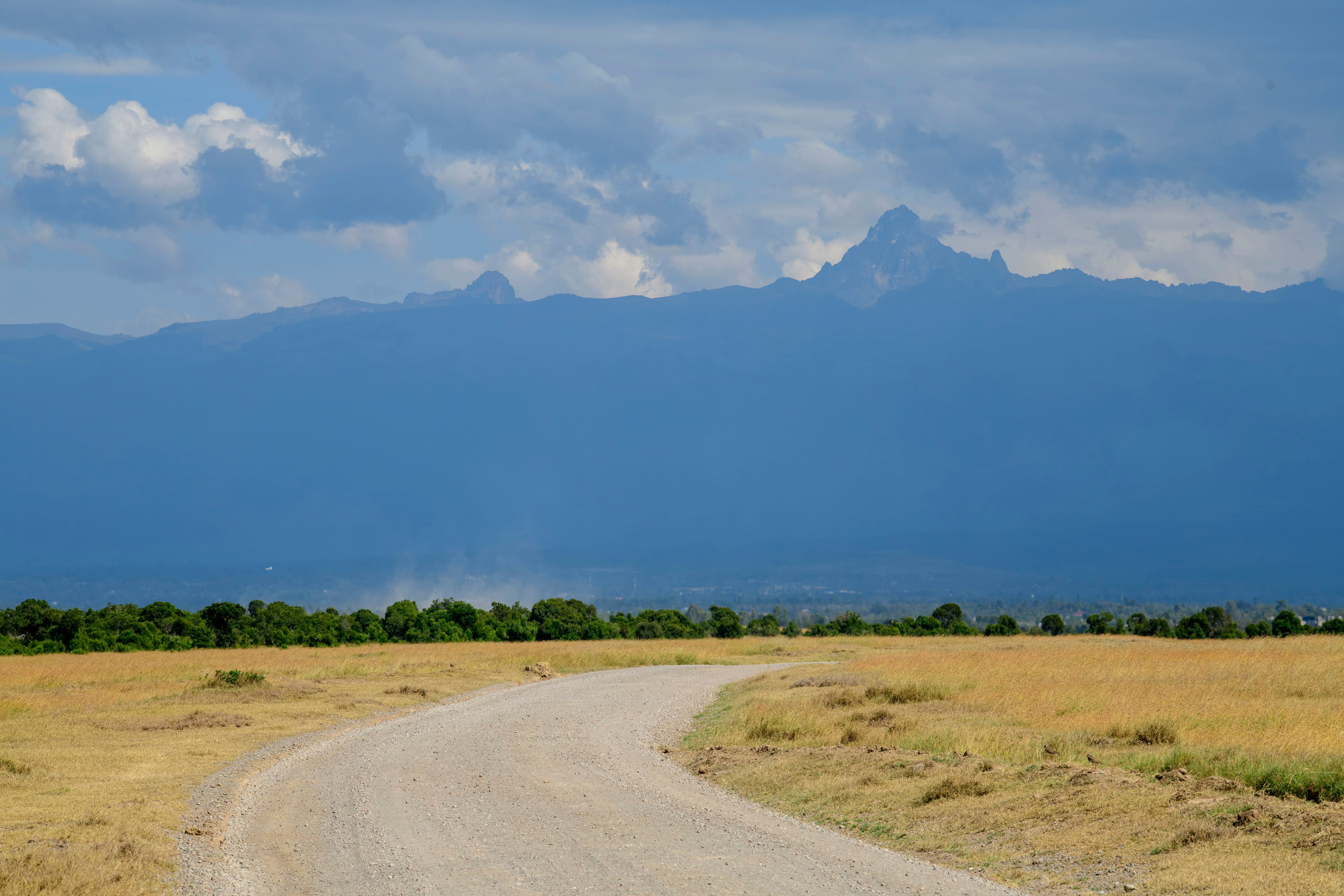 Кения. Wildlife photography by Sergey Puponin
