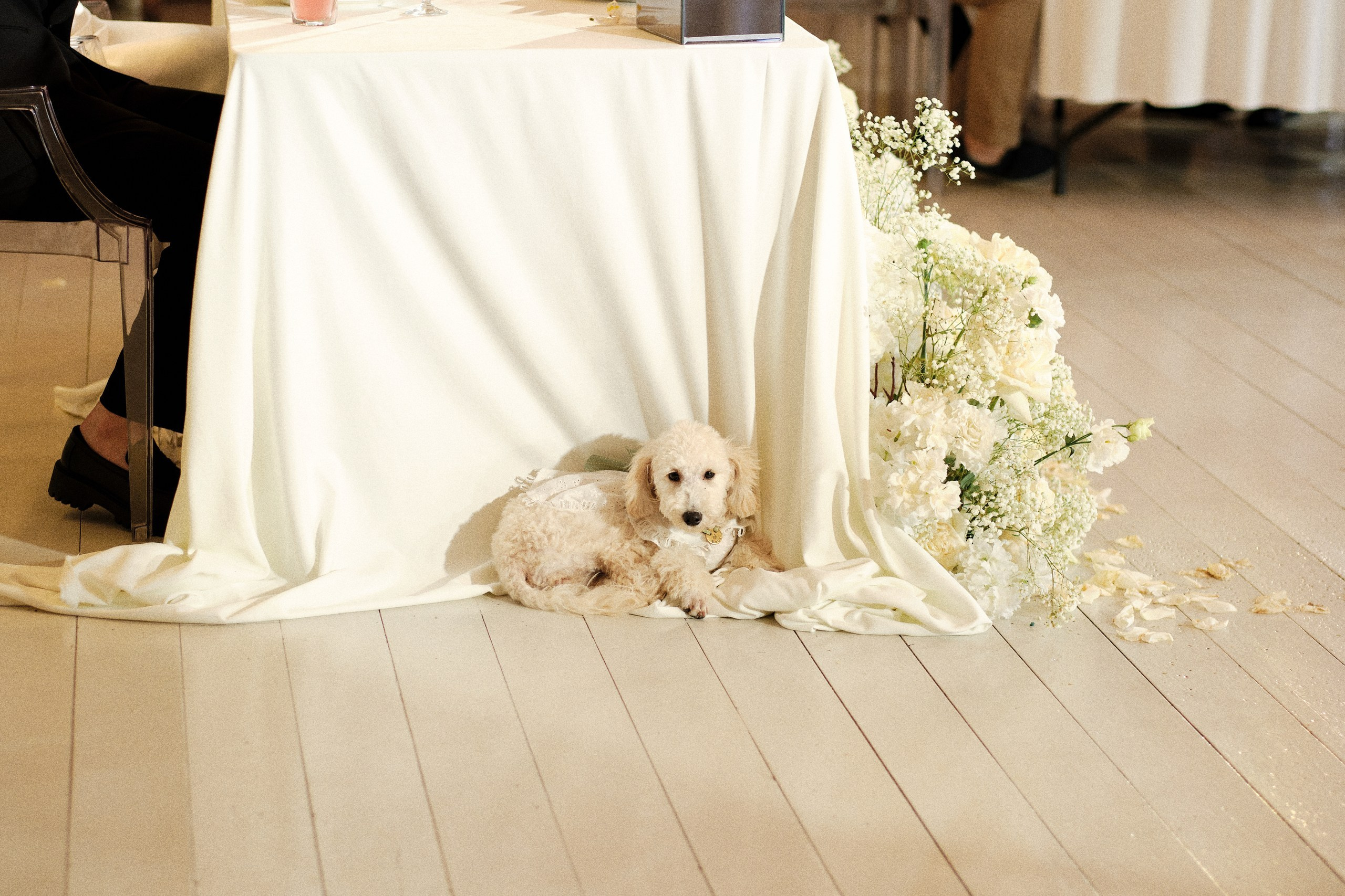 Nastya and Nikolay. Портретный и репортажный фотограф в Москве Острикова Анастасия