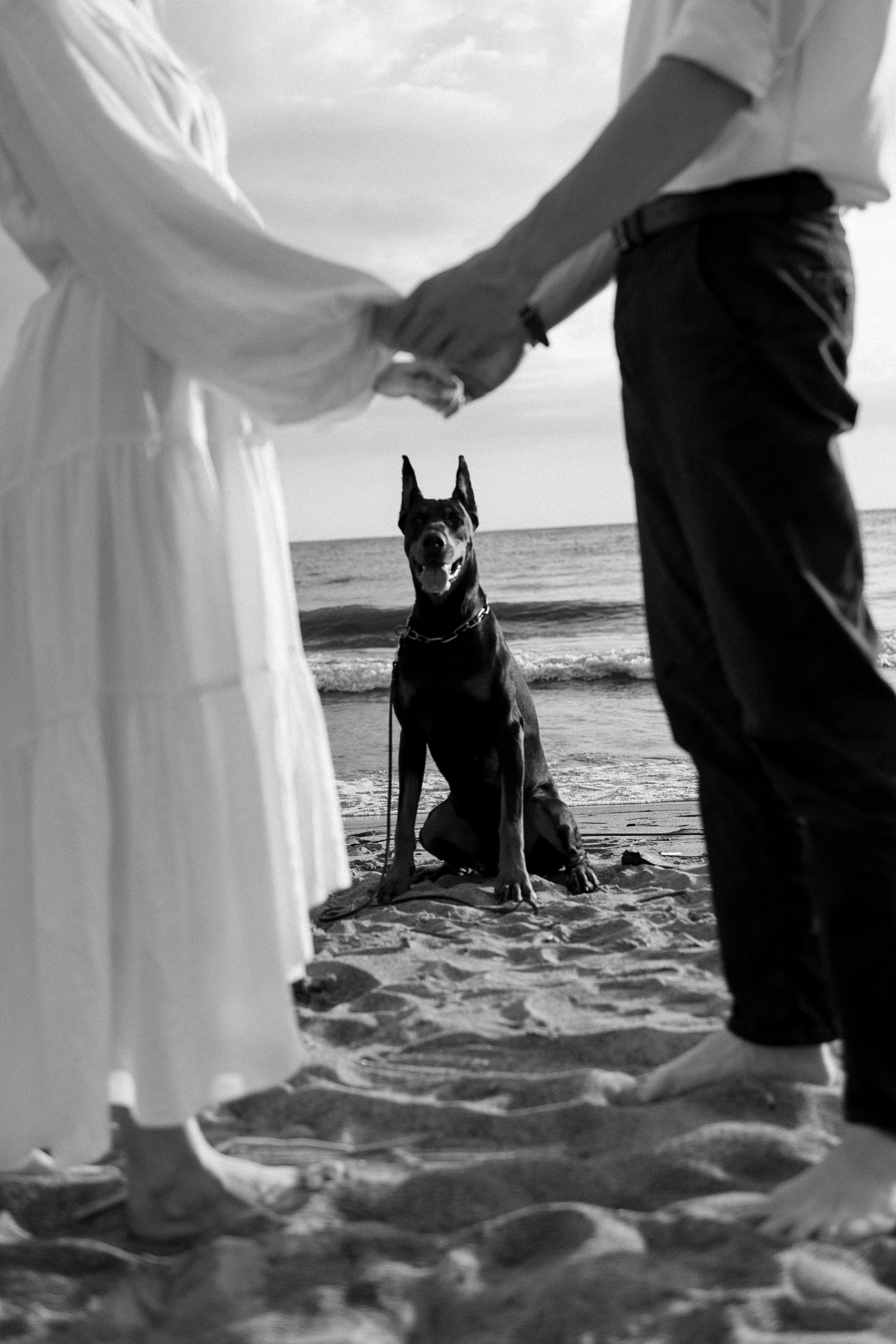 Прогулочные. Фотограф в Санкт-Петербурге Шевченко Наталья