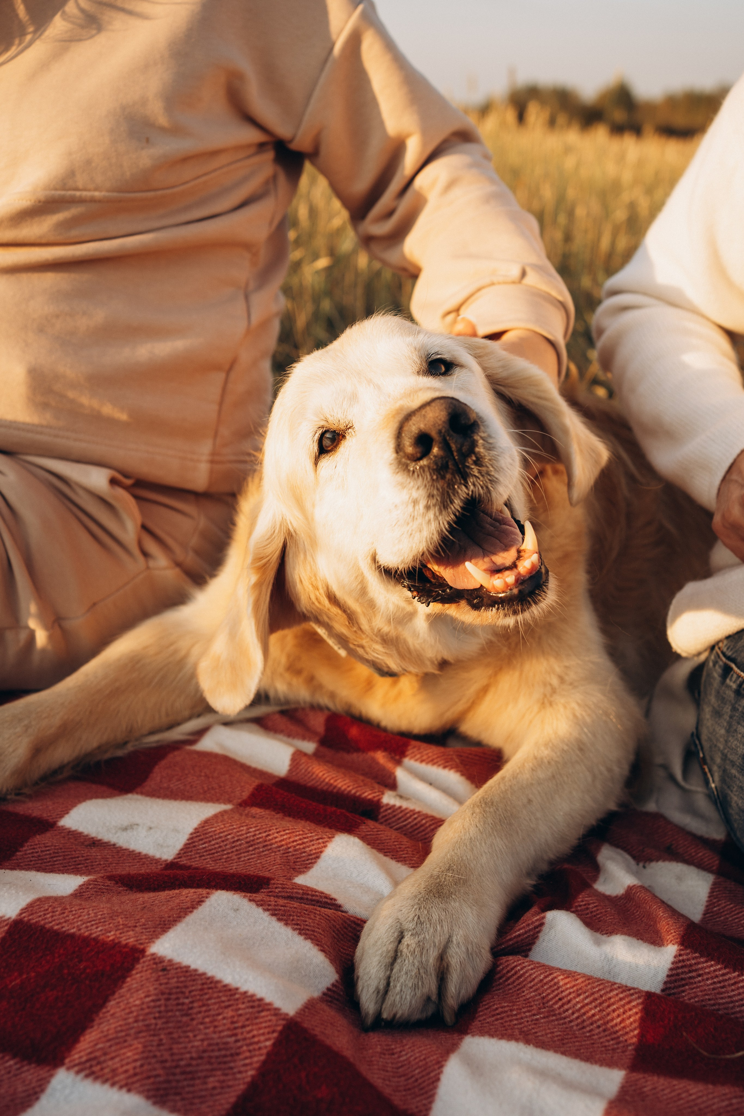 Дарья, Люба и Ред. Фотограф-анималист Анастасия Большакова
