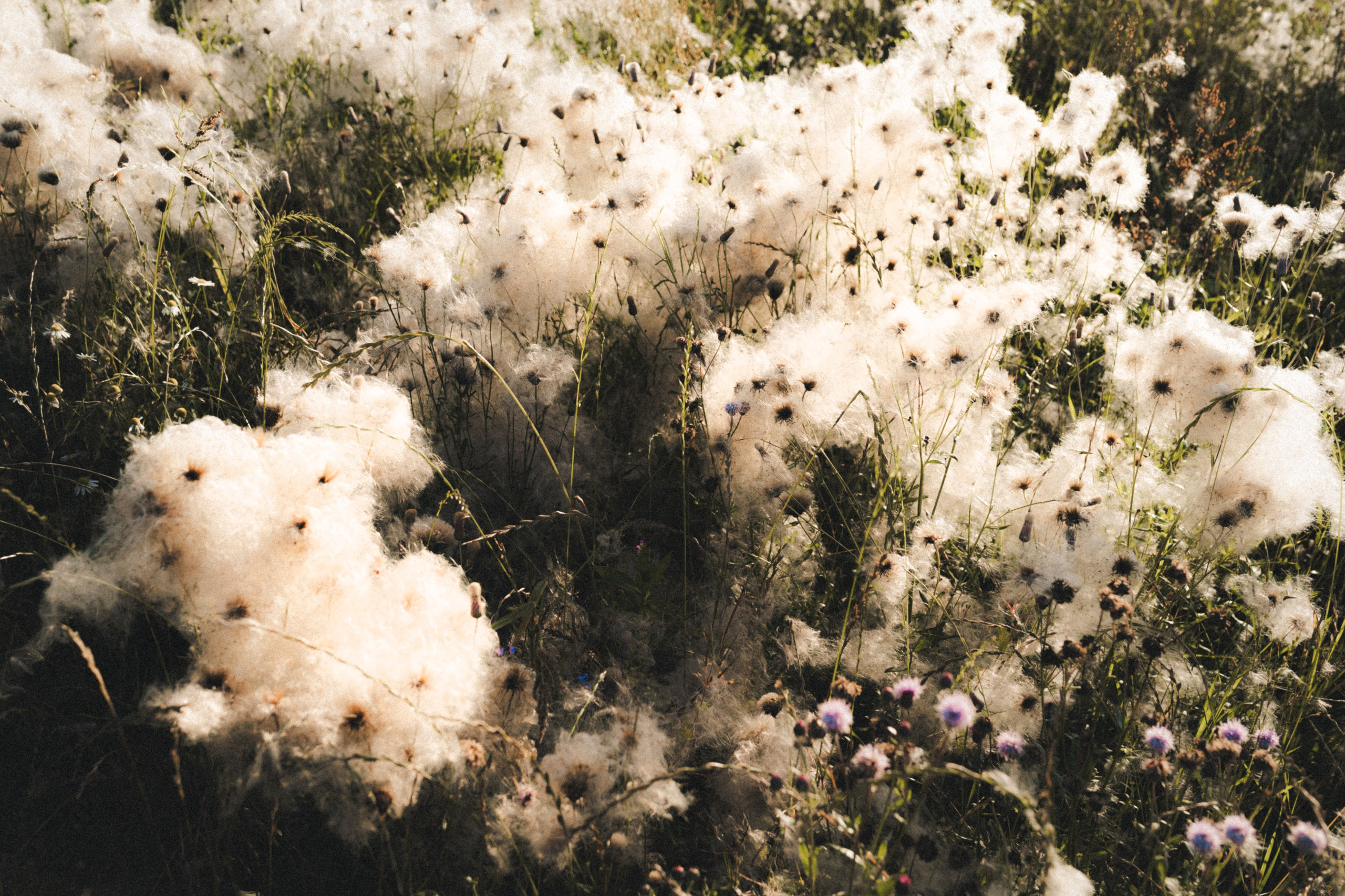 Фотограф Илья К. в Москве