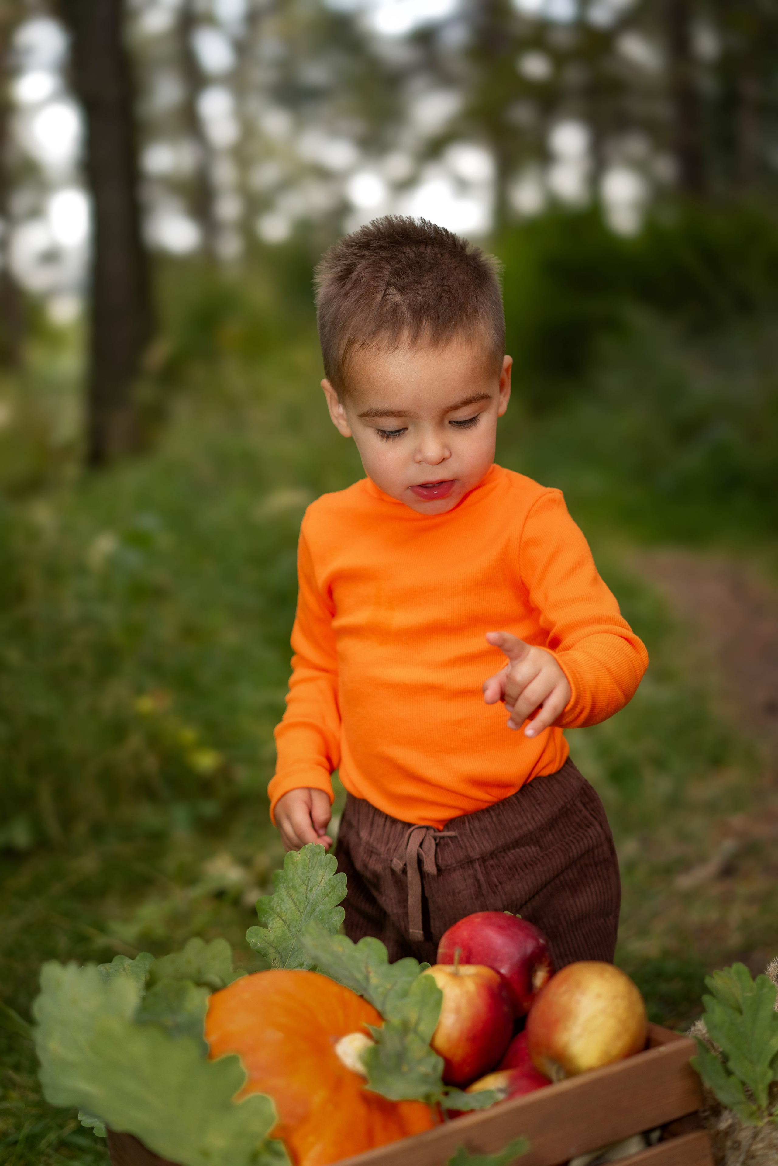 Семейные съёмки