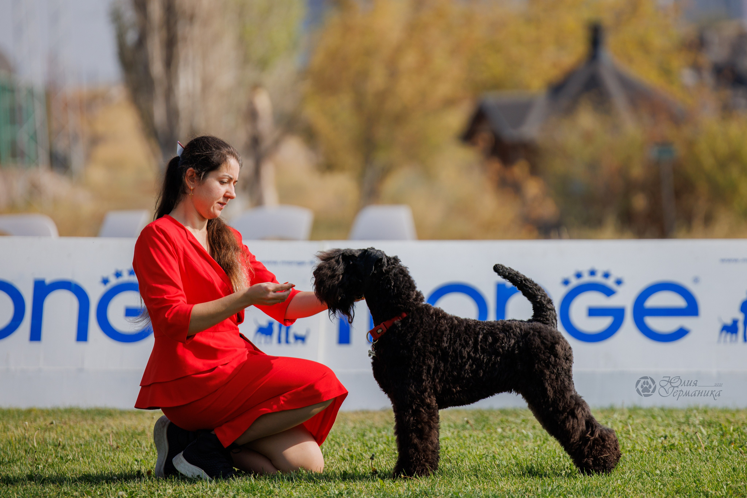 Армения,Ереван 3хCACIB 15-17.10.2024. Фотограф-анималист Юлия Германика