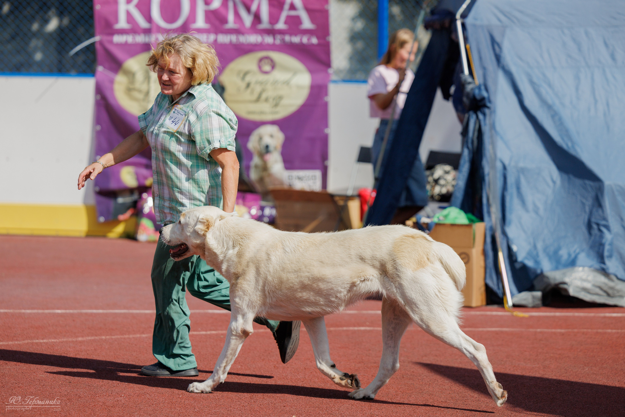 Коломна 30.08.2025. Фотограф-анималист Юлия Германика