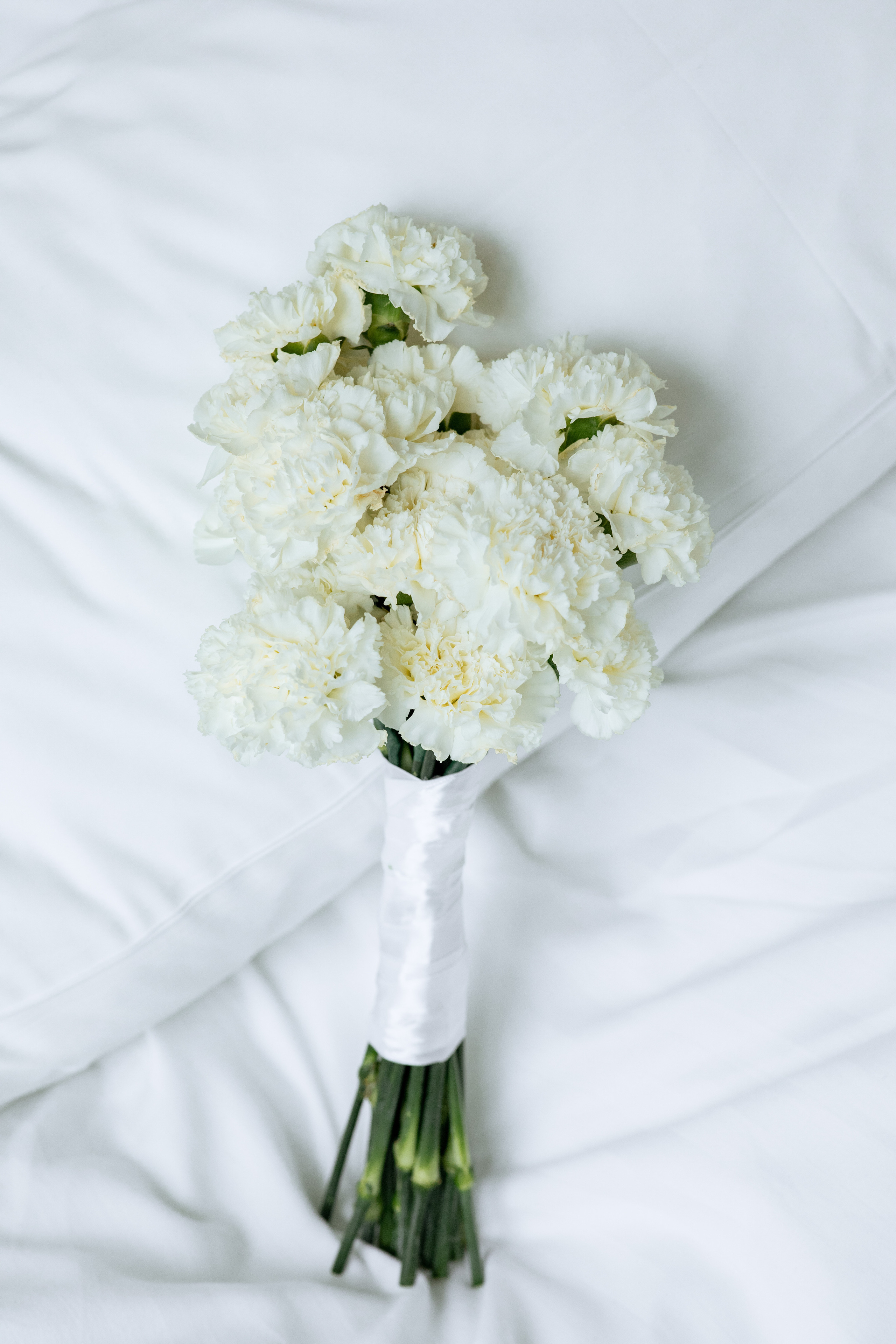 Коля и Лера. Свадебный фотограф Витебск Минск