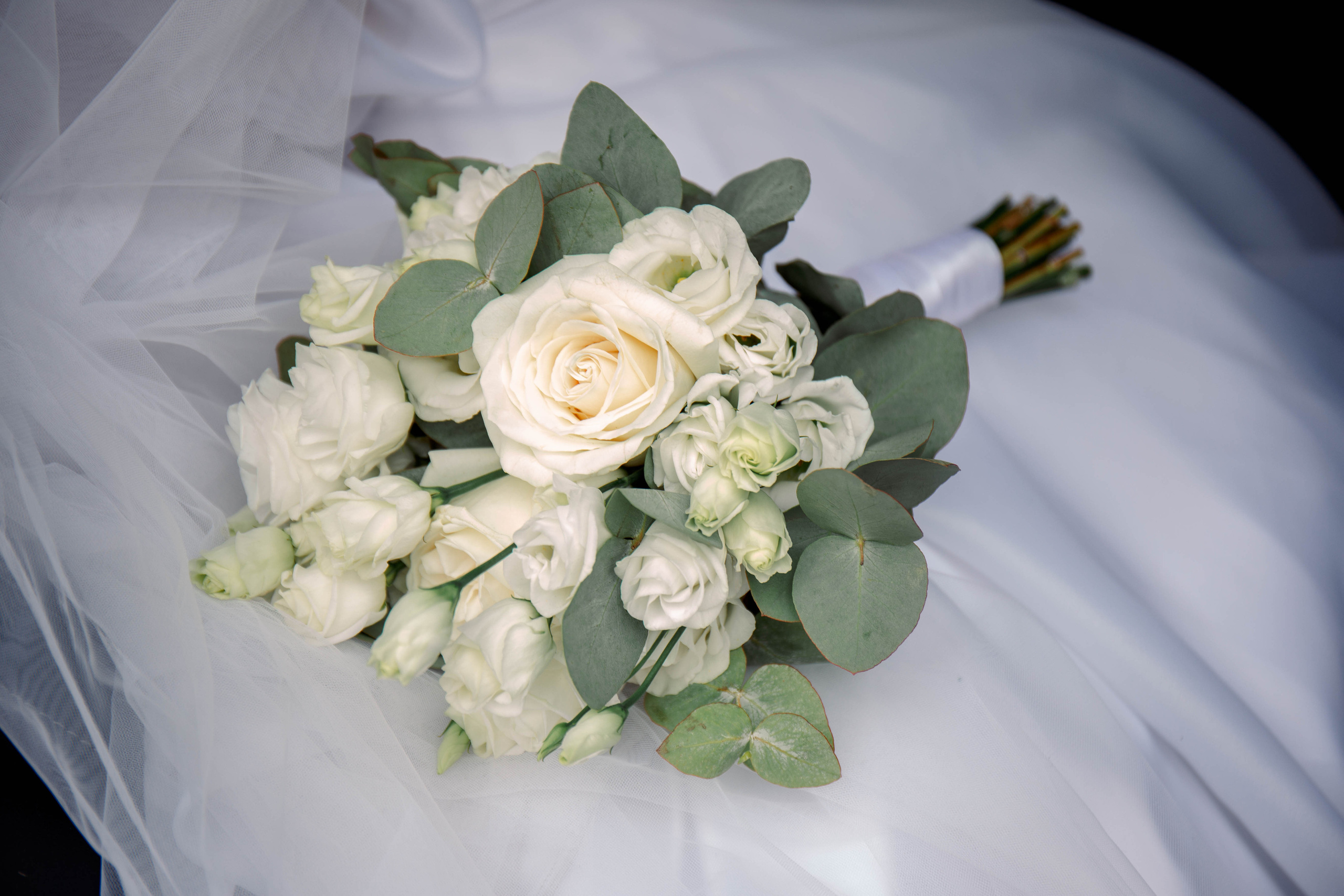 Роман и Ксения. Для тех, кто не ждёт удачи, а создаёт её. Каждая фотосессия — это твой момент, твой стиль, твой успех. 📸