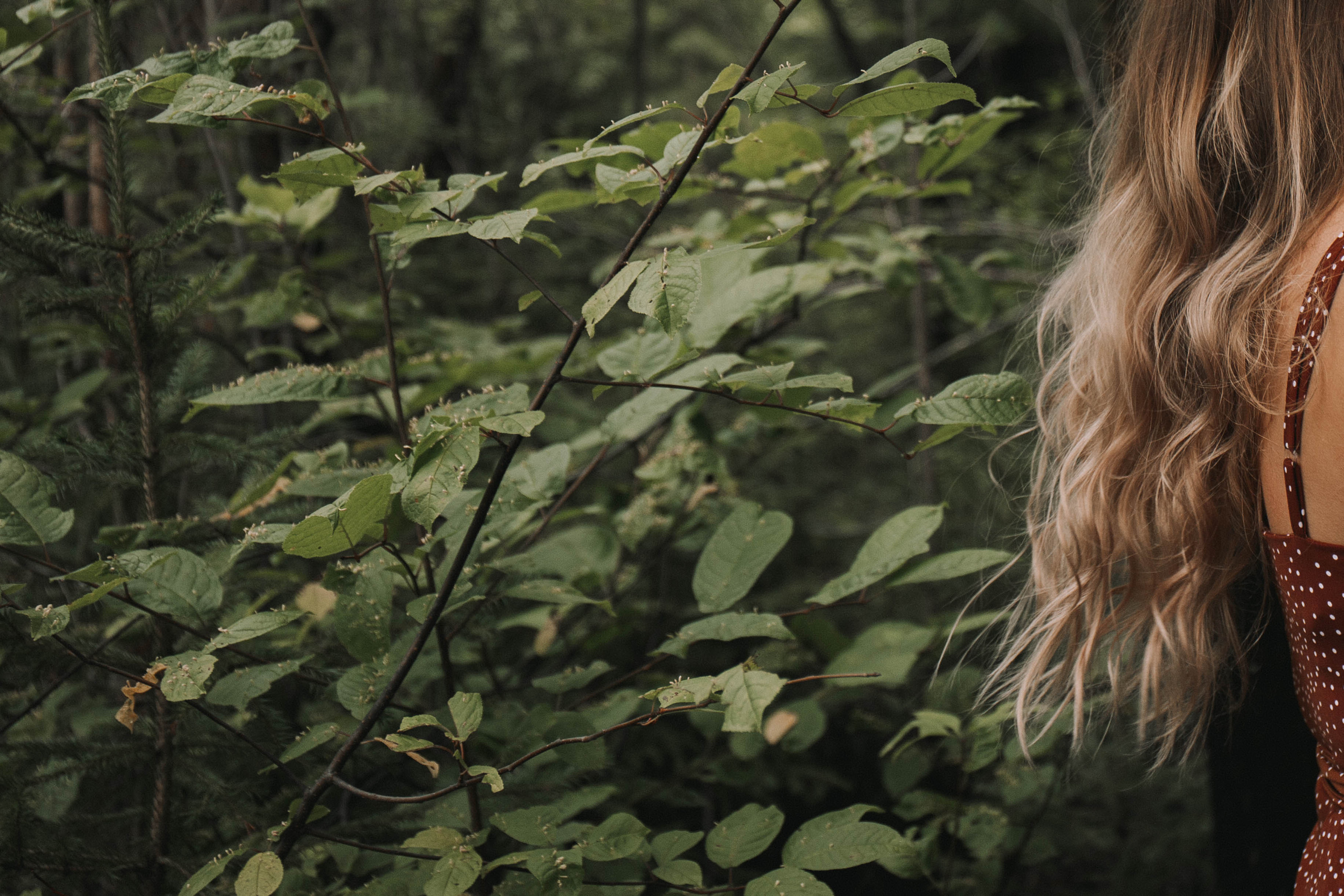 Лето в поле. Для тех, кто не ждёт удачи, а создаёт её. Каждая фотосессия — это твой момент, твой стиль, твой успех. 📸