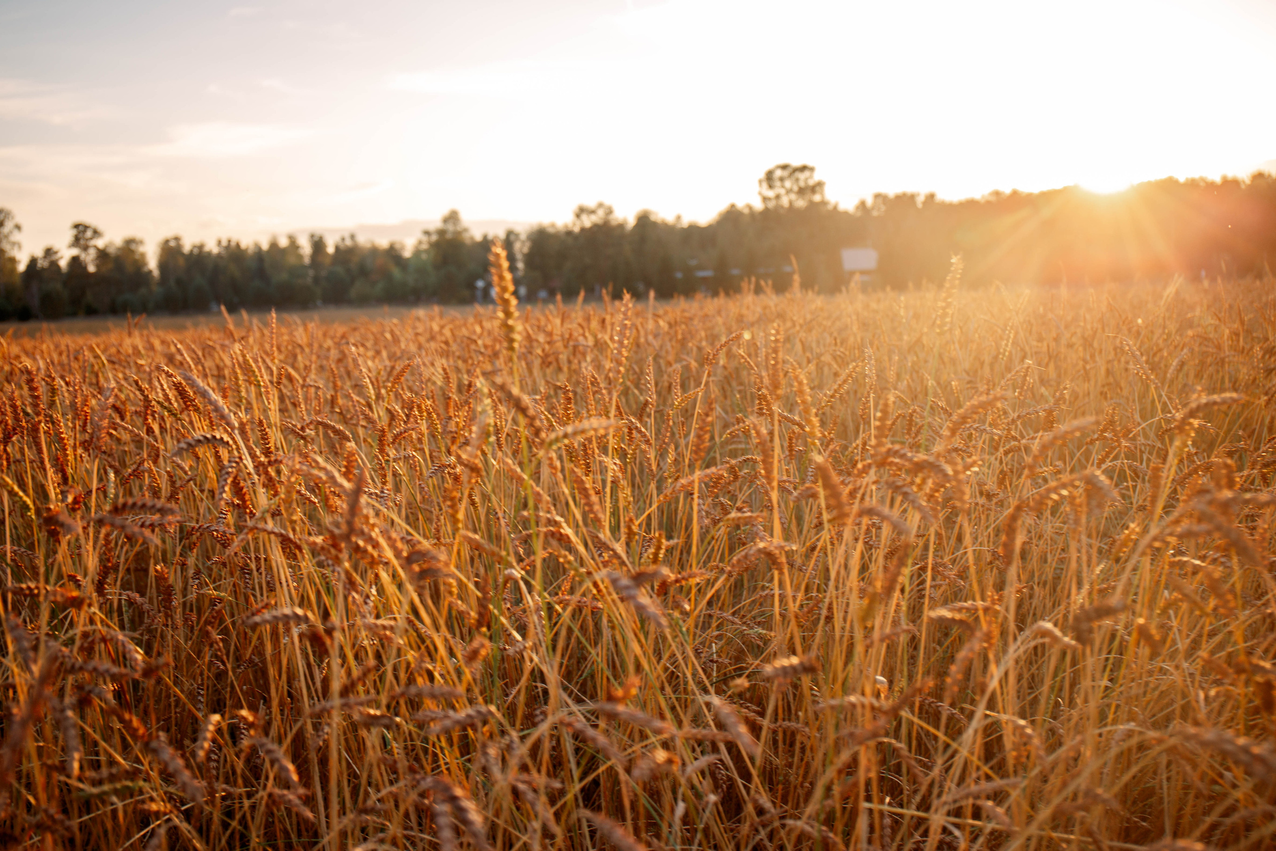 Мама дочь. Для тех, кто не ждёт удачи, а создаёт её. Каждая фотосессия — это твой момент, твой стиль, твой успех. 📸