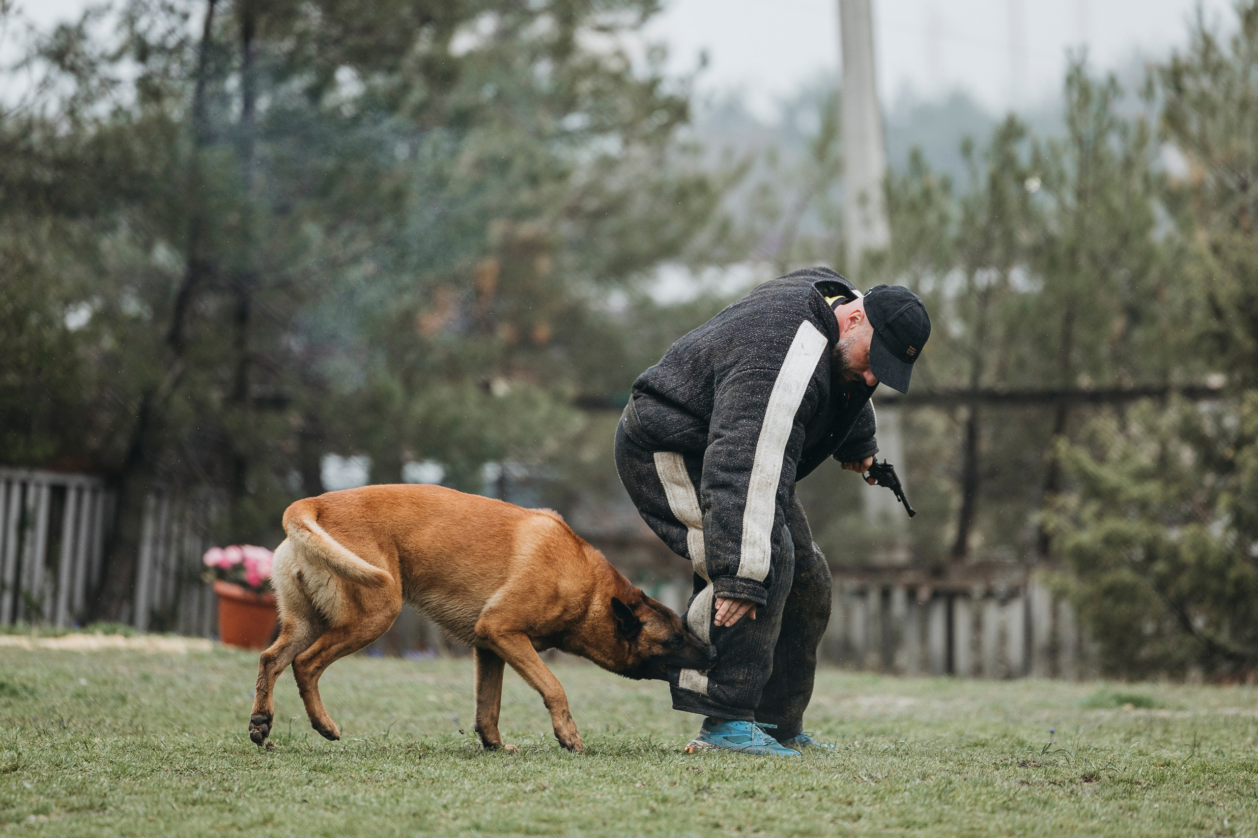 Геленджик Мондьоринг. Фотограф-анималист Анна Маринич