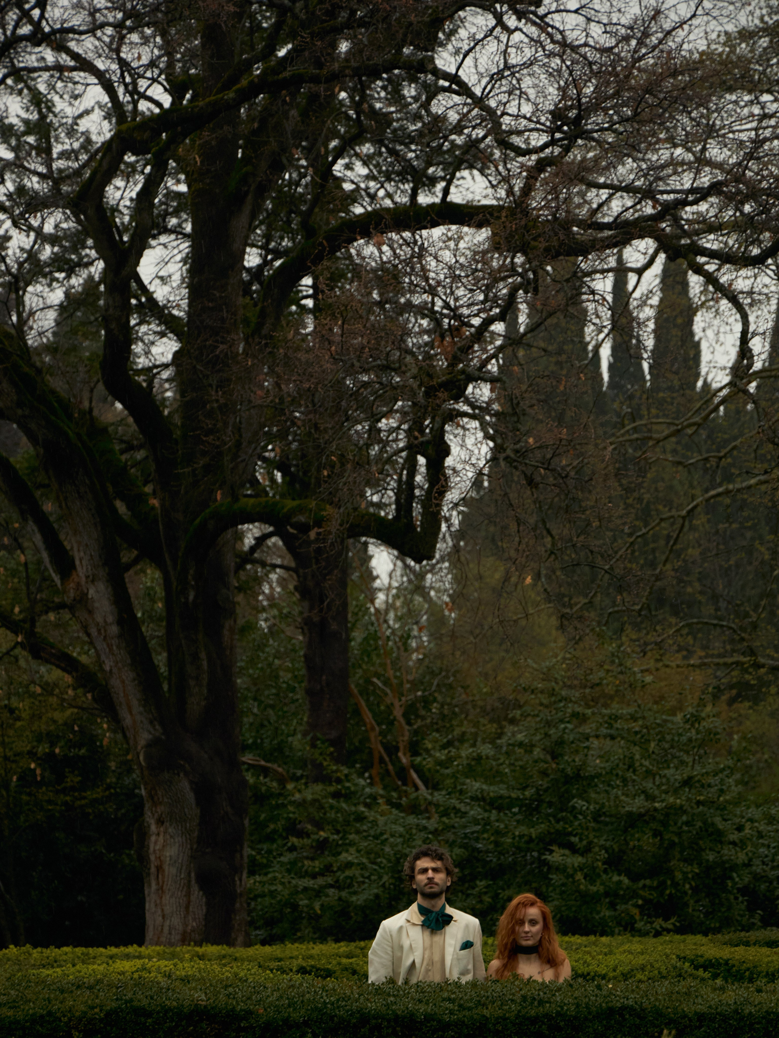 Давид и Милита