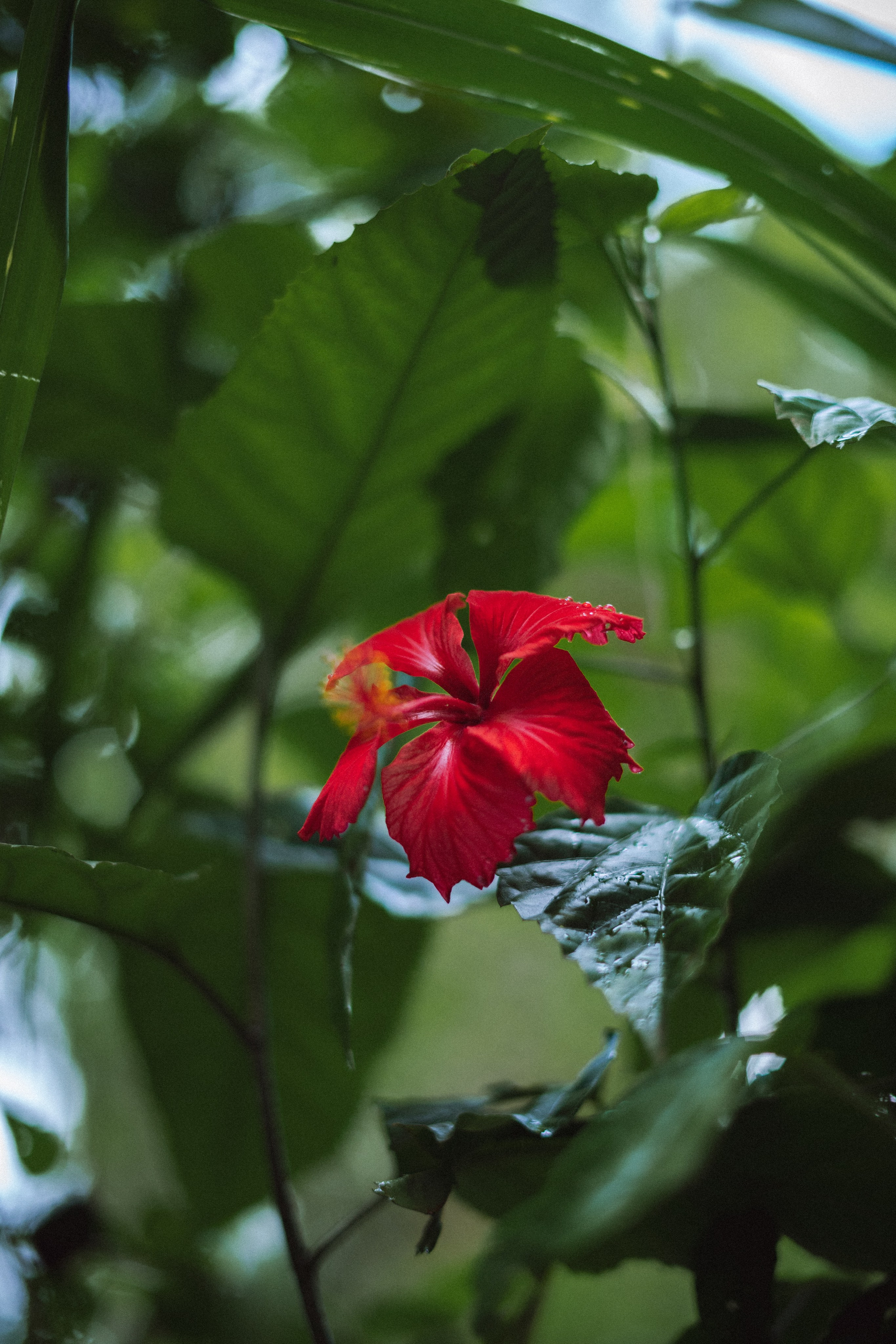 Content shooting for Svetlana’s expert blog during a two-day trip to Ella