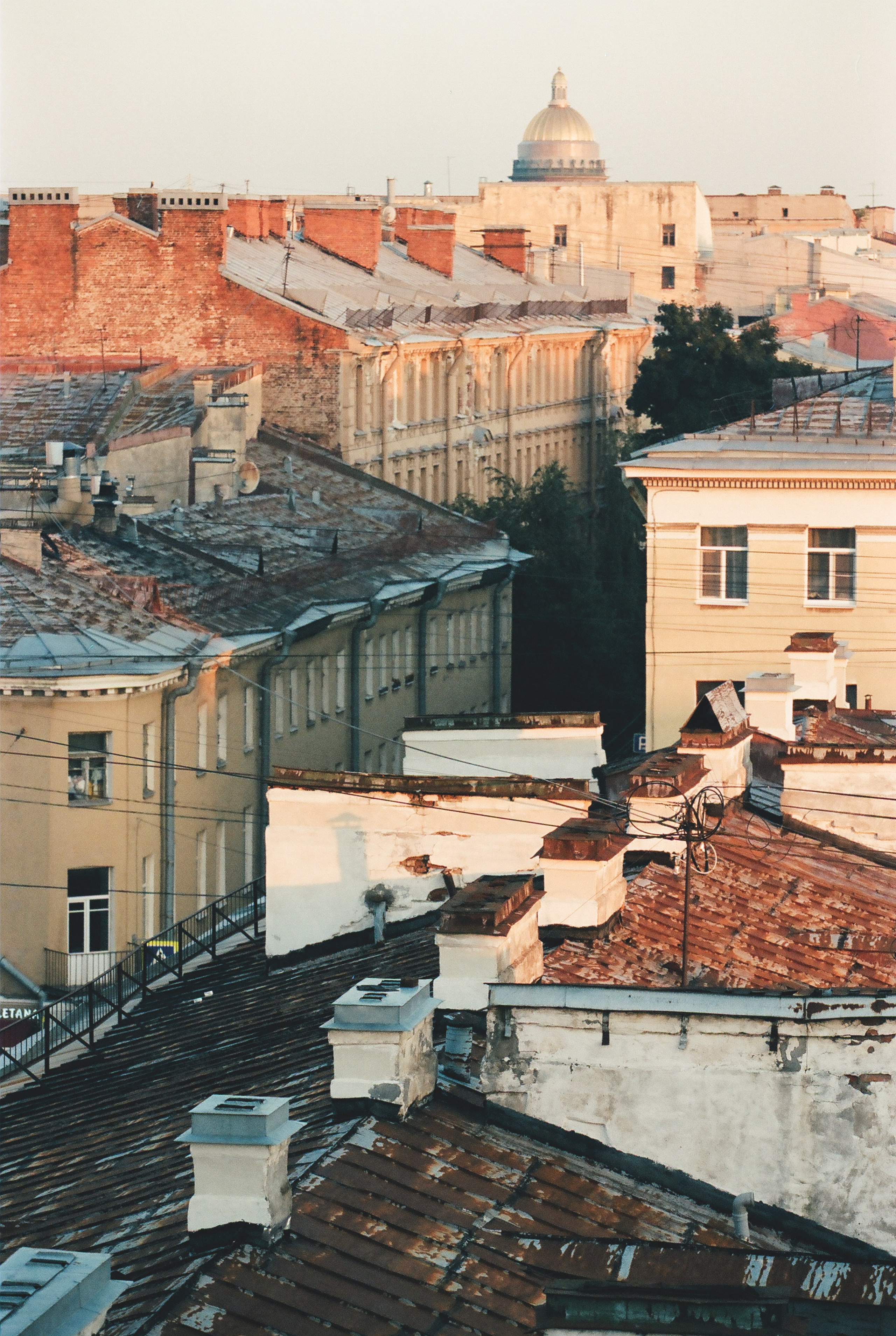 Фотографии цветные. Свадебный и семейный пленочный фотограф в Петербурге Истомина Ирина