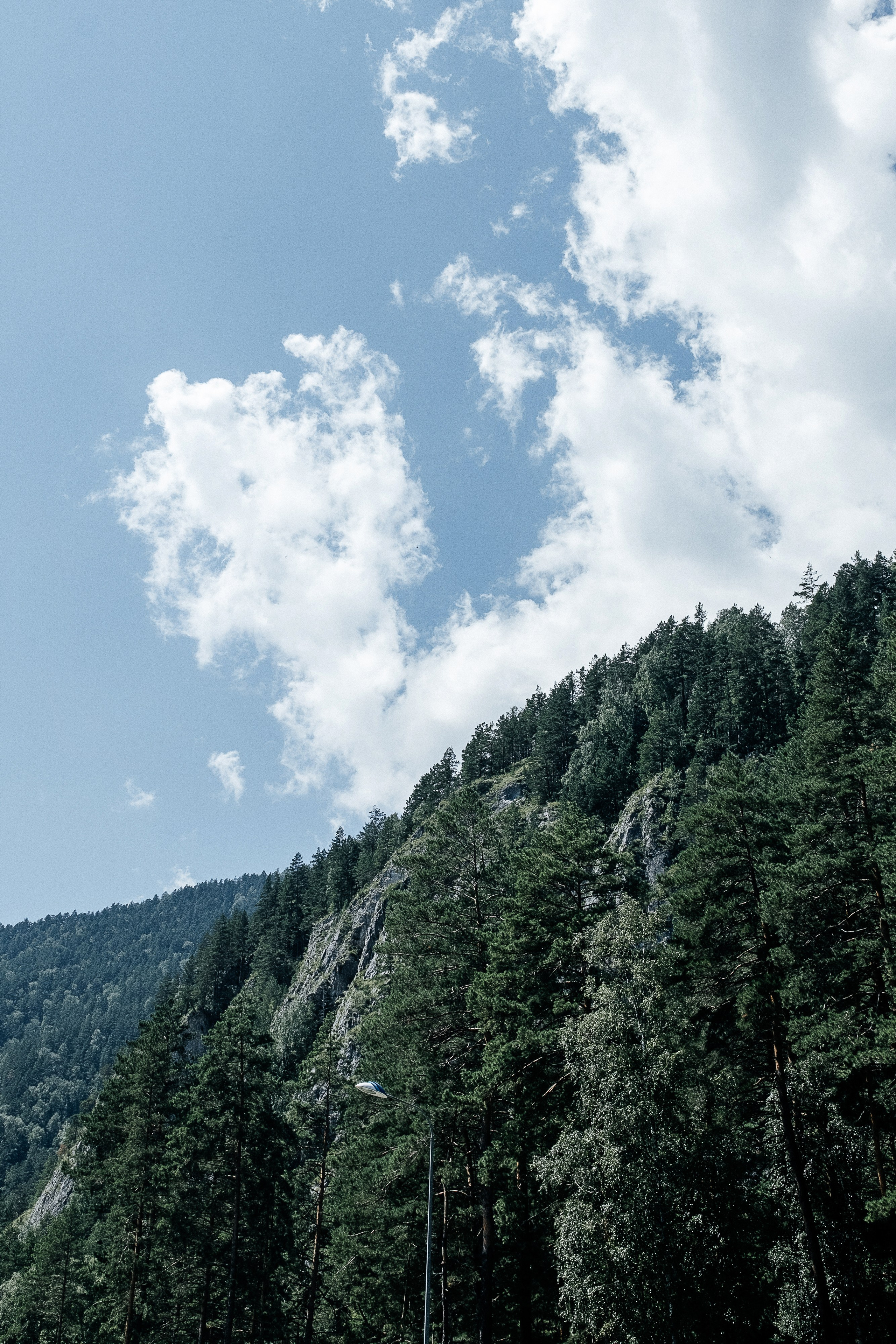 Все по року. Свадебный и семейный фотограф Барнаул Рубцовск Бийск Алтайский край