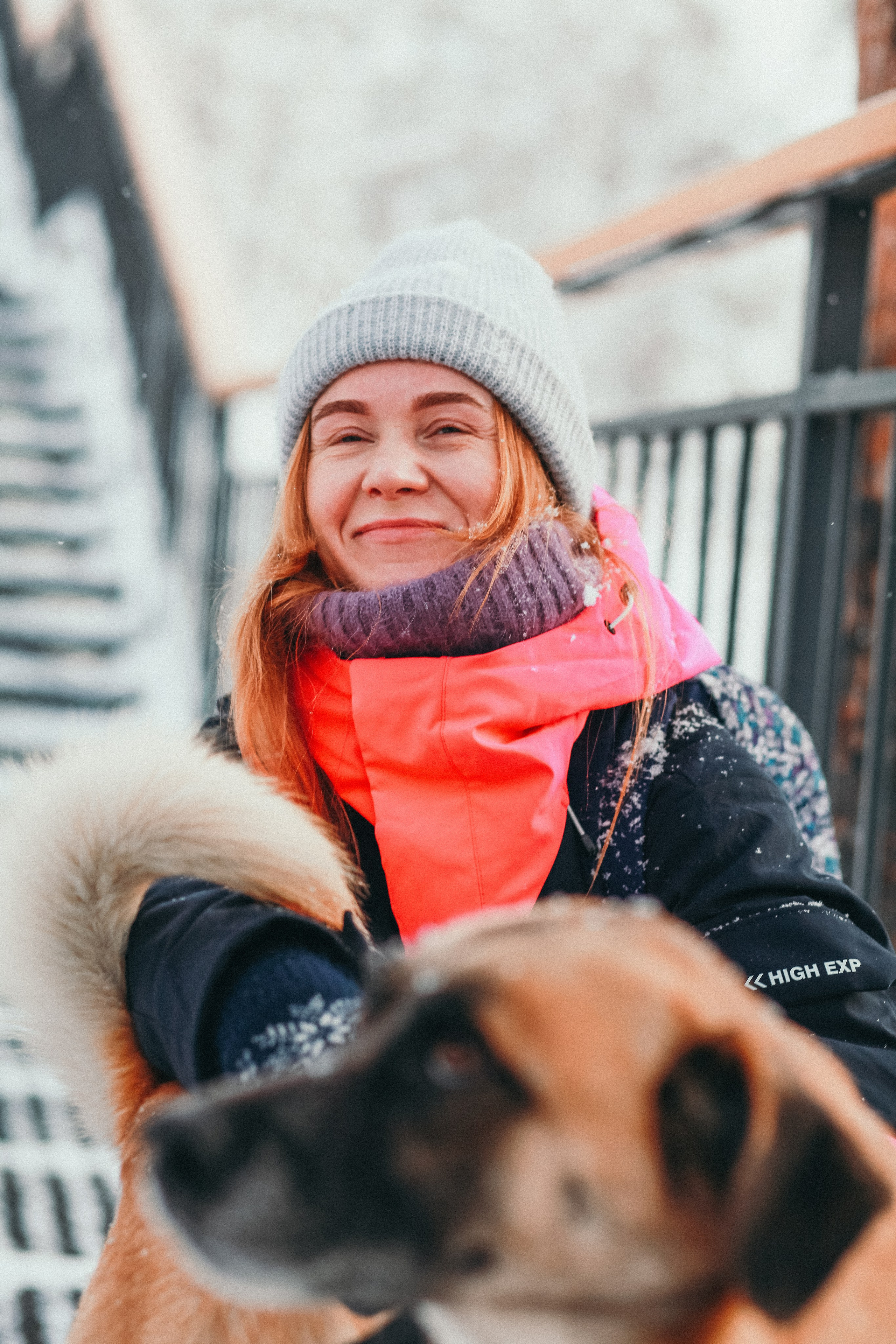 Фотосессии собак. Фотограф Дарья Локотко в Красноярске
