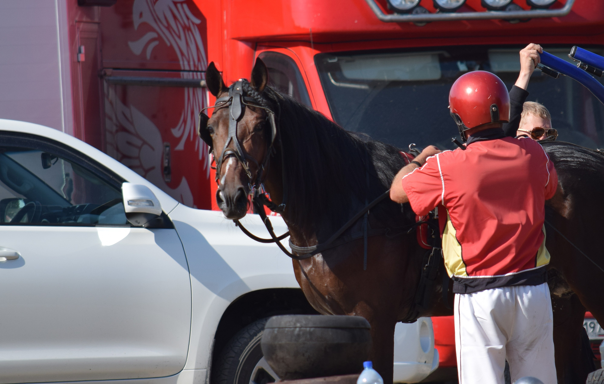 Кубок Губернатора, ипподром Саратов, 2019 г. Конный фотограф в Саратове Юлия Иванова