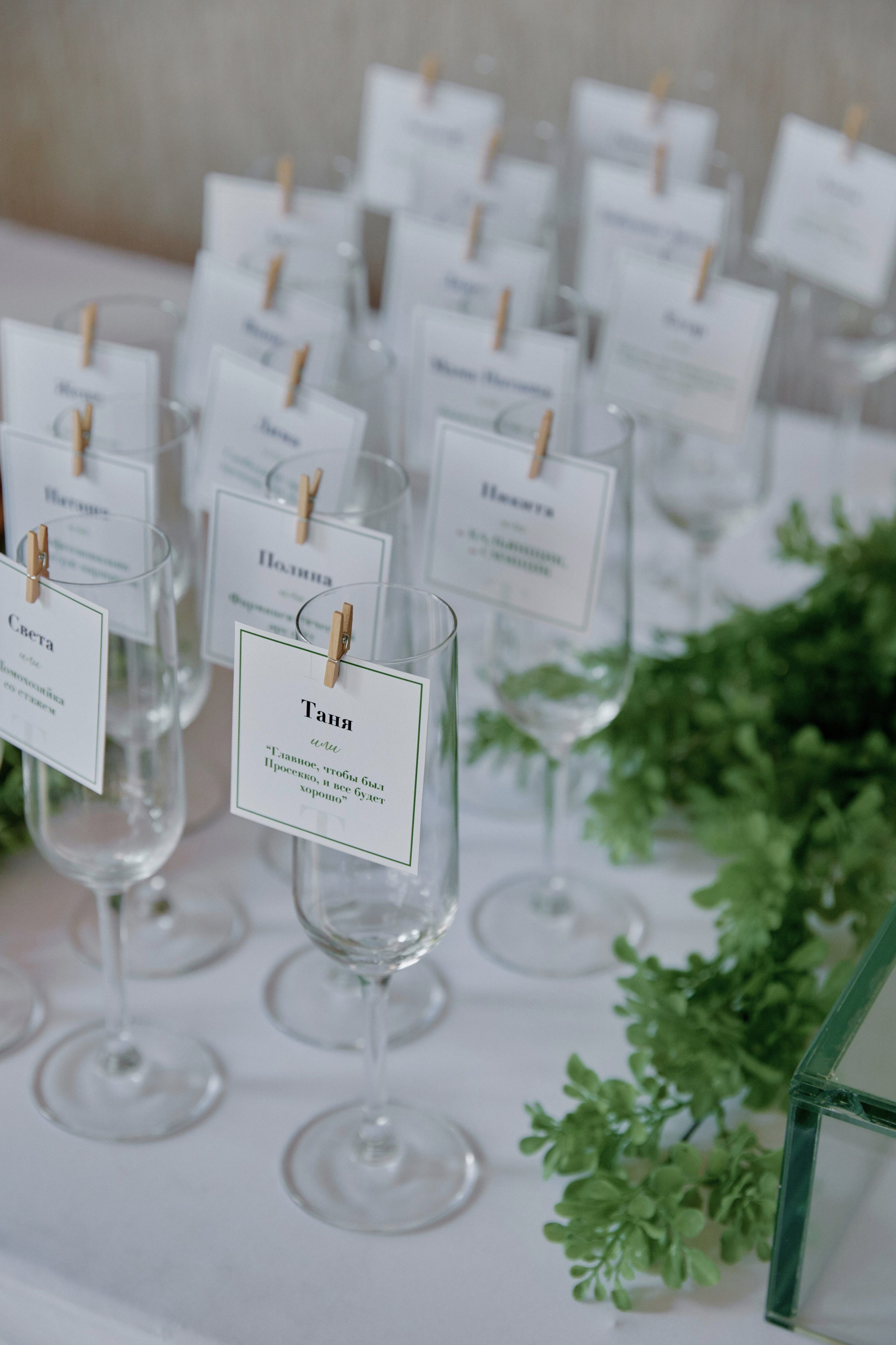 Лаймовое настроение. Фотограф Елена Краснопевцева