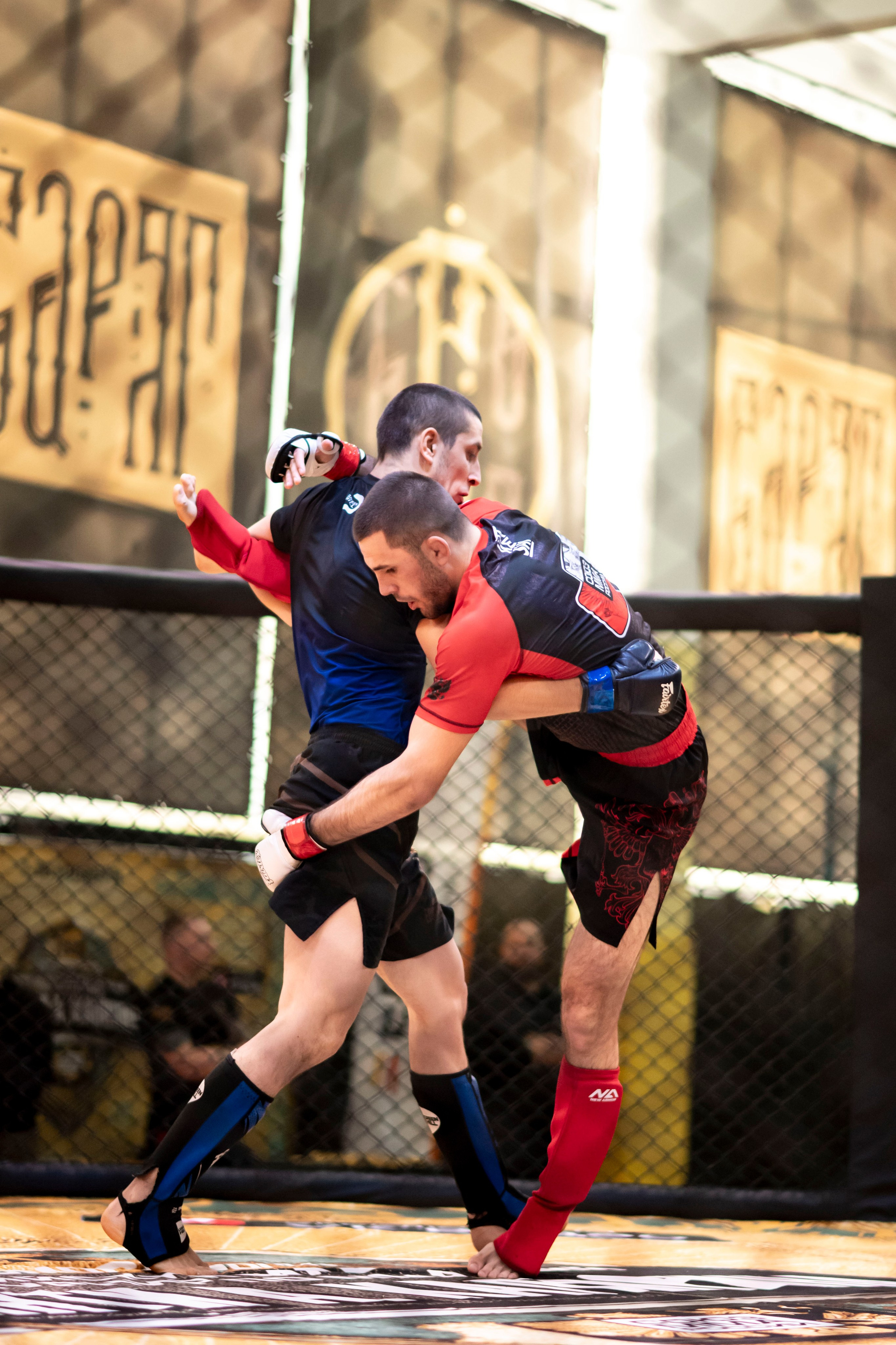 Всероссийский турнир ММА. Новомосковск, ноябрь 2025. Спортивный фотограф в Туле и Тульской области. Файсханова Фото Спорт