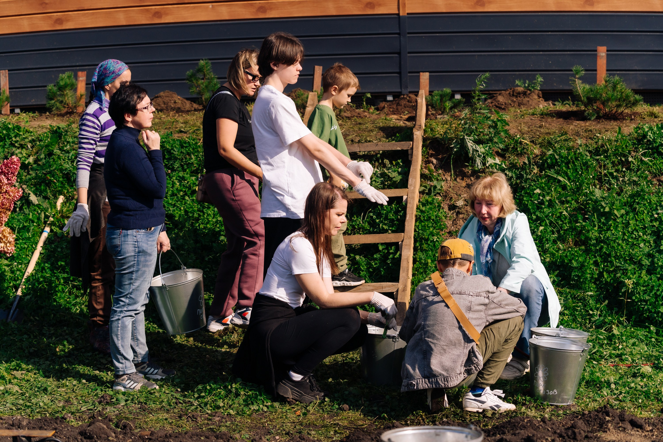 Дневные события. Geometria