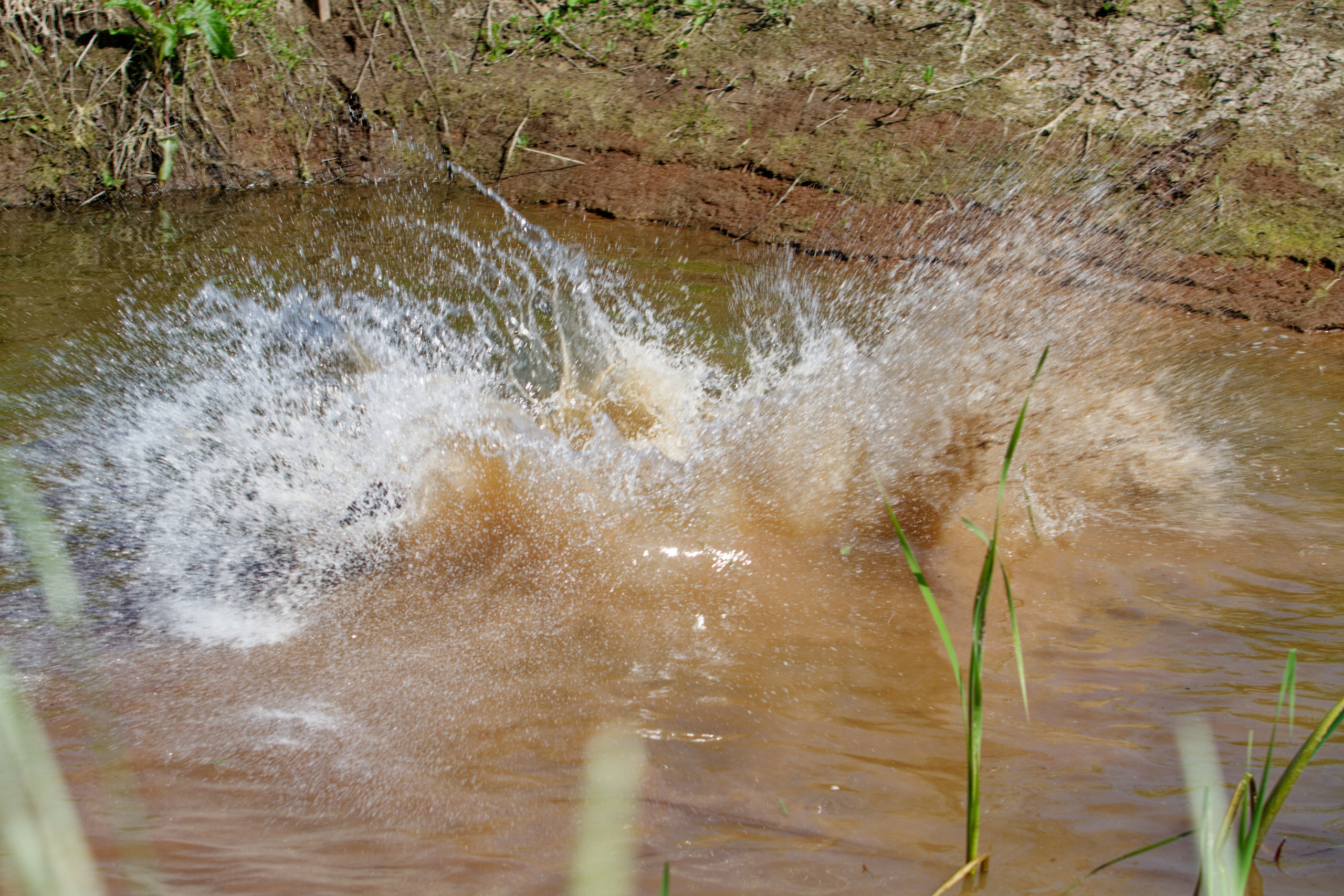 Родео59. Репортажный и спортивный фотограф в г. Пермь Зильберг Павел
