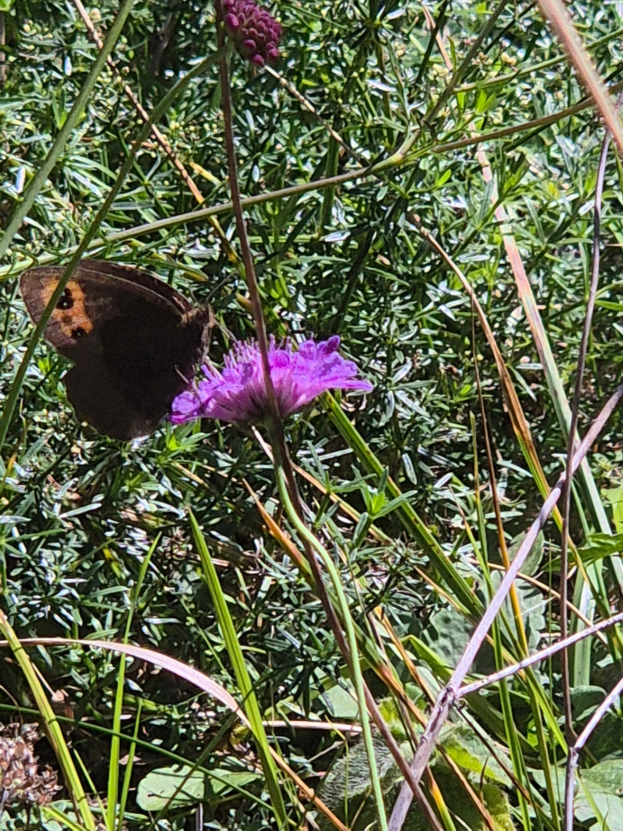 Сам город производит впечатление нового, застроенного апартаментами и отелями в последние лет 5-7. Очень уютный, среди деревьев, вокруг озера разбросаны современные 3-5 этажные современные постройки 