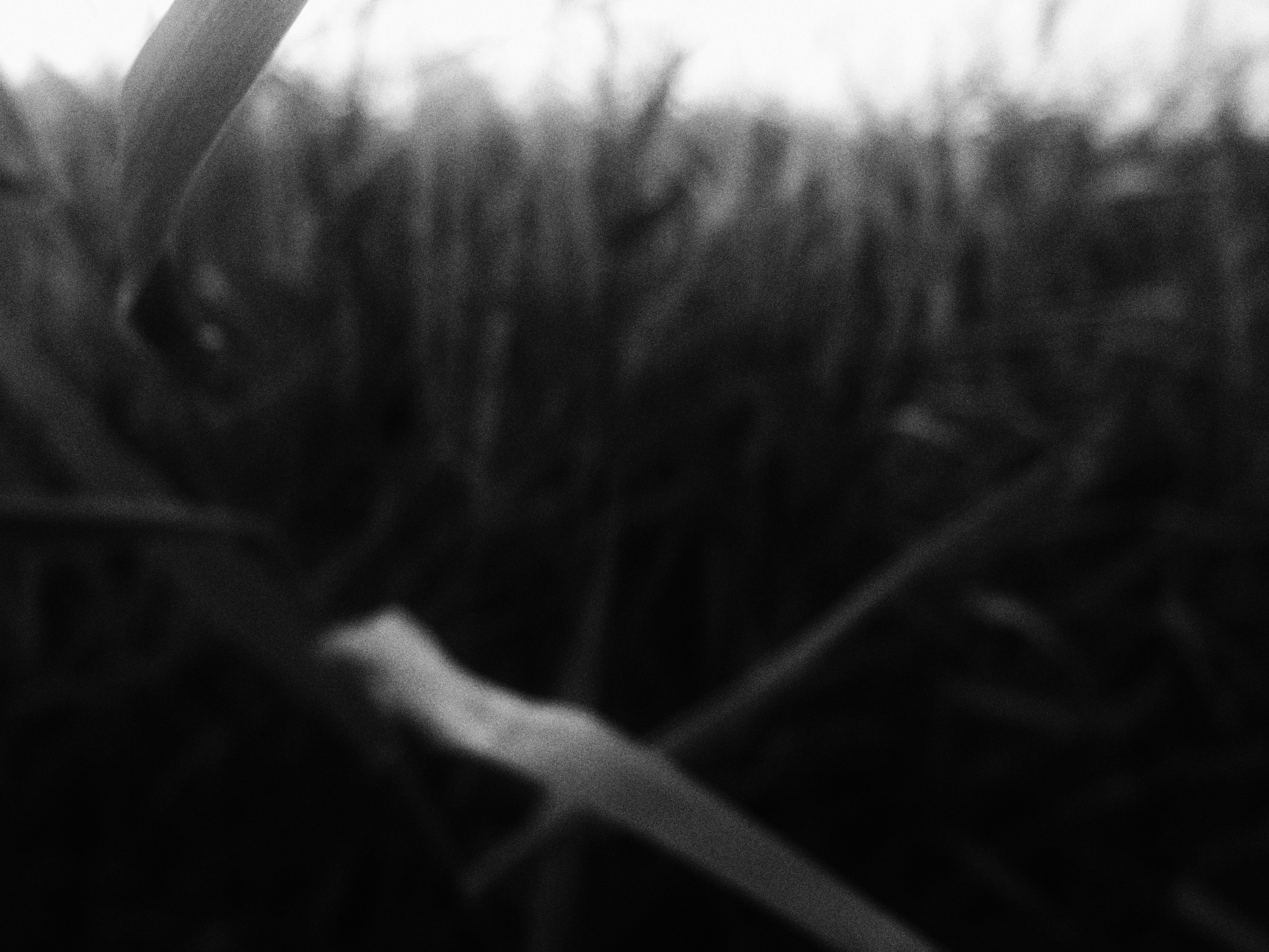 Внутривенные сны (2018-2023)