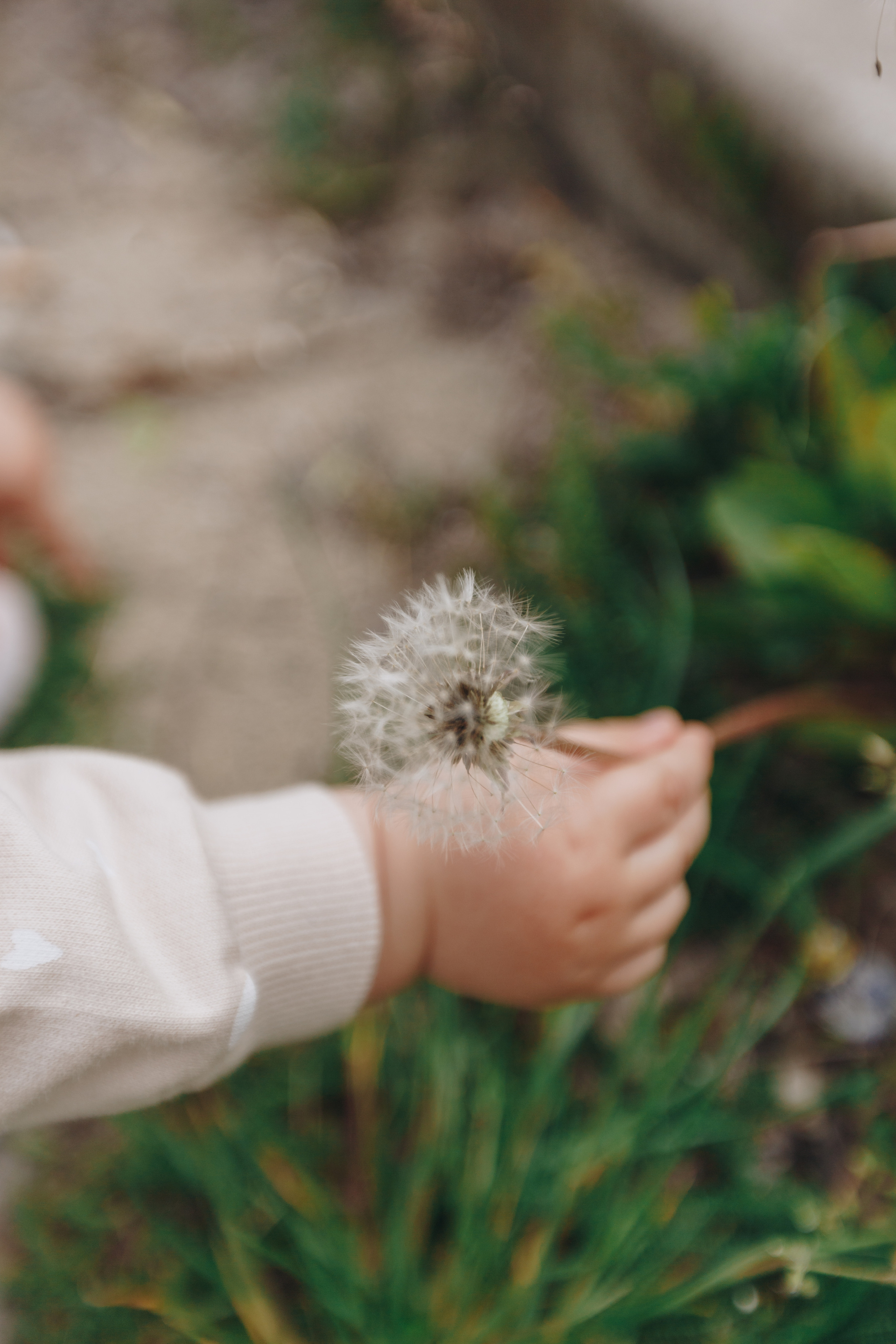 Пляжи. Свадебный семейный фотограф и видеограф Гомель Минск Беларусь Европа