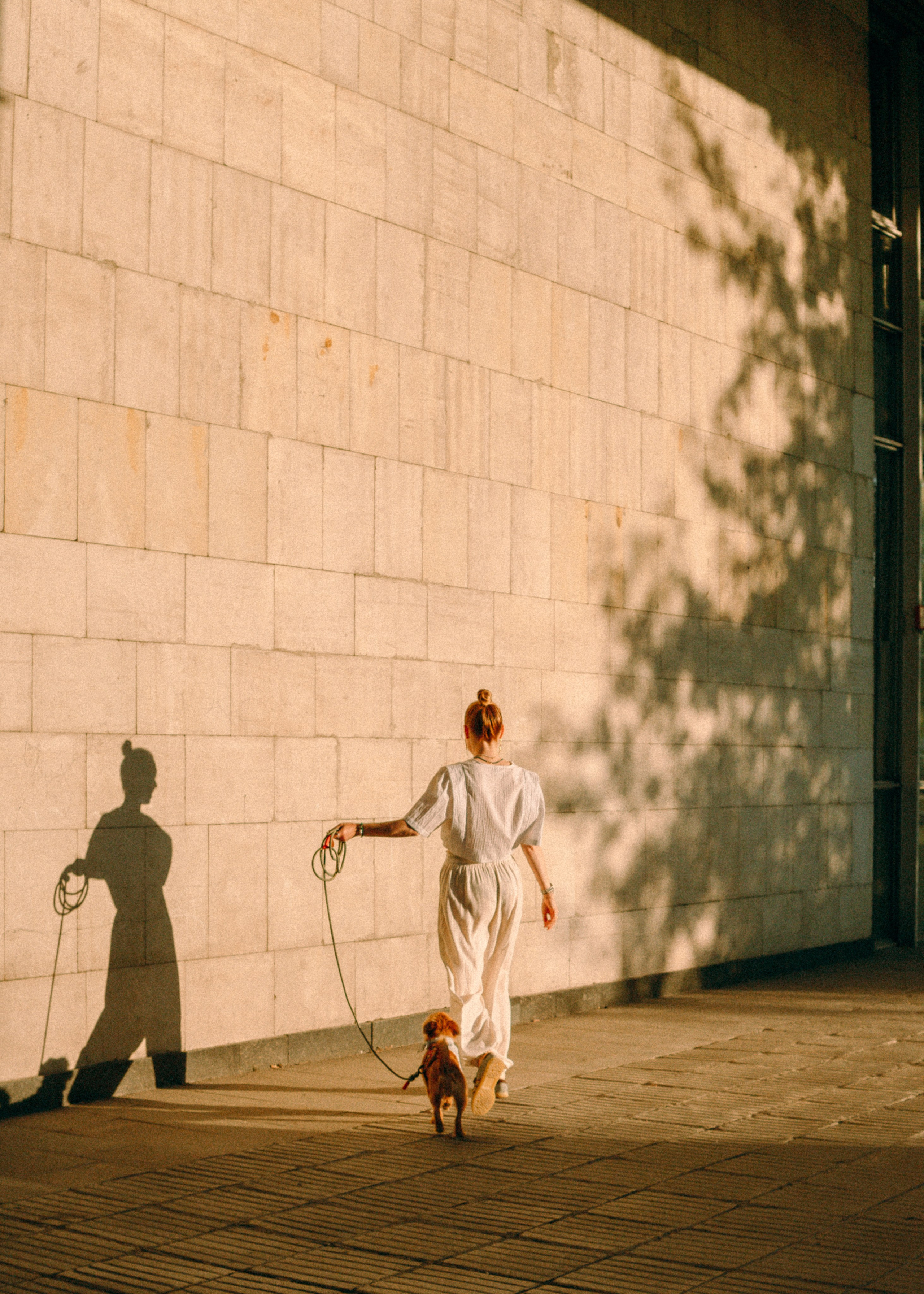 Лена и Альфи. Фотограф-анималист Ксения Воробьева, Москва