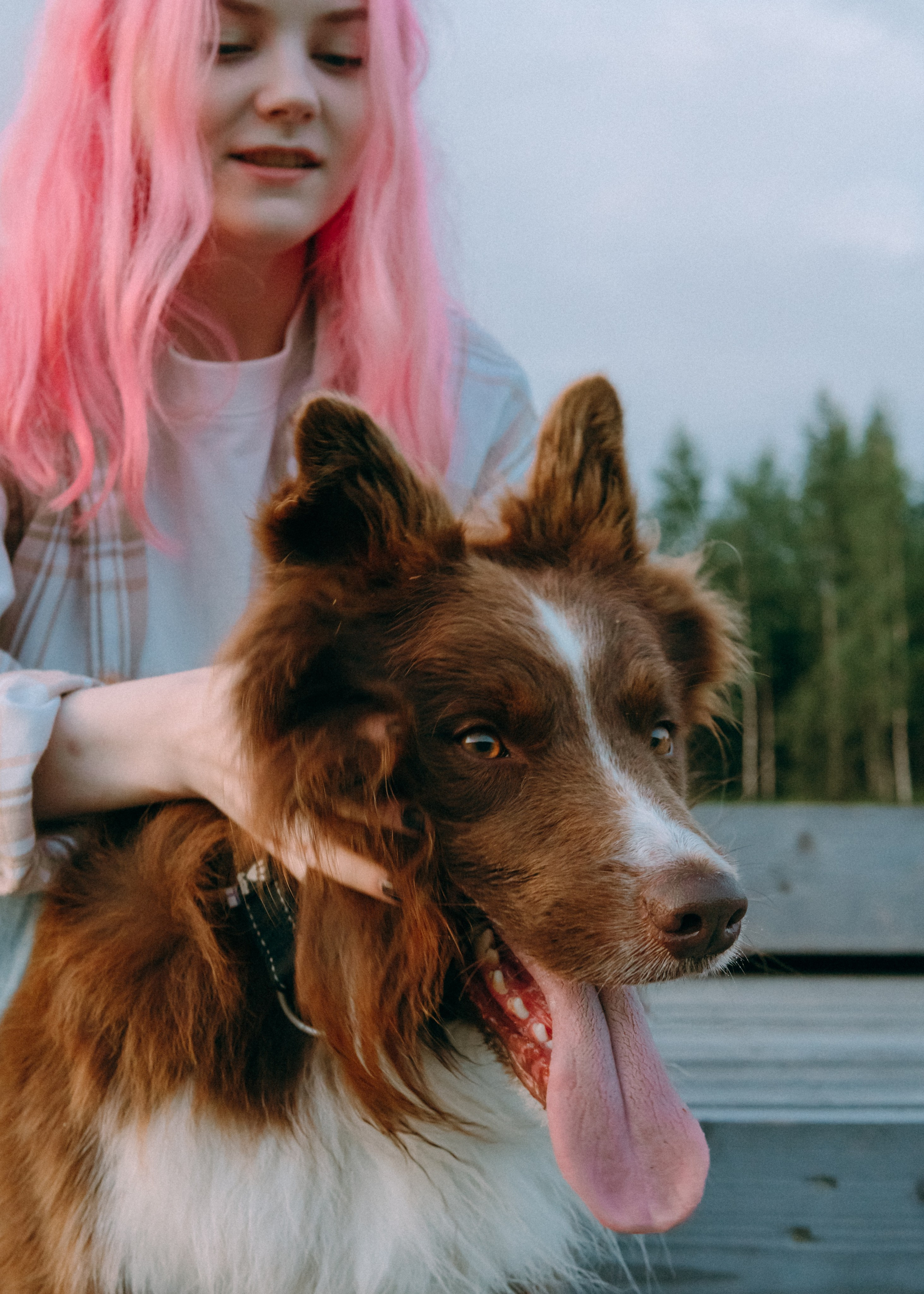 Виолетта, Лила и Питер. Фотограф-анималист Ксения Воробьева, Москва