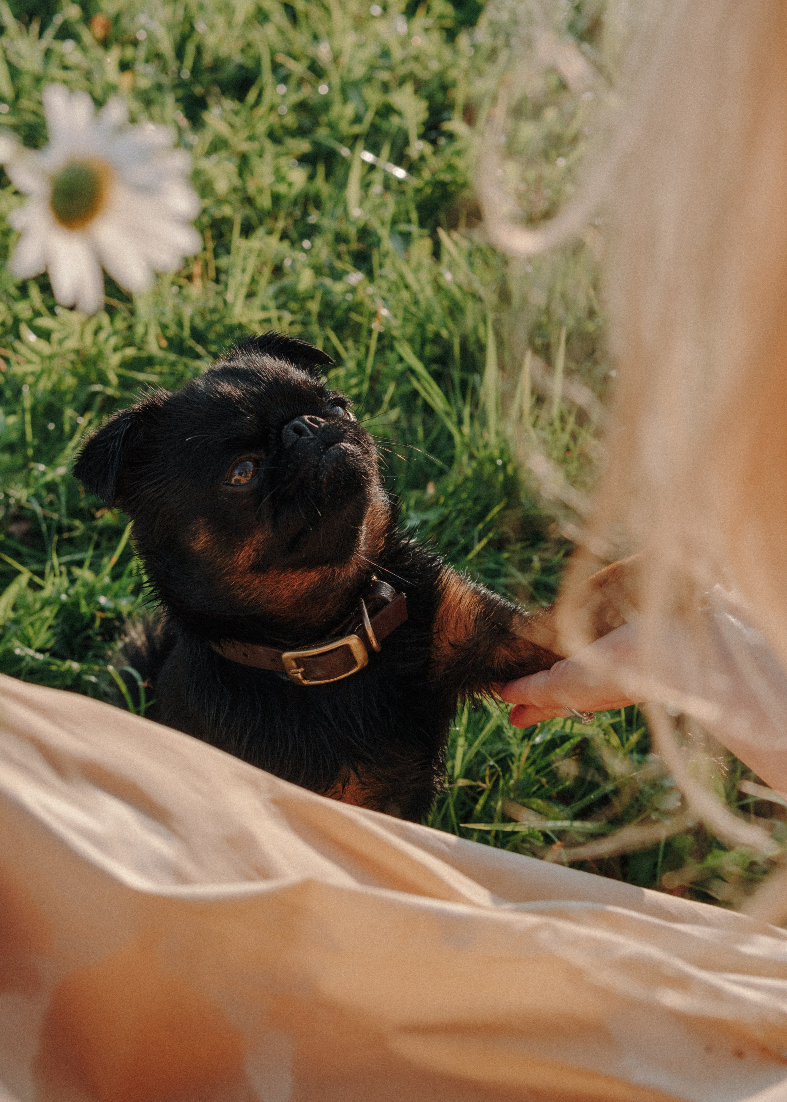 Оксана, Кирилл и Кеша. Фотограф-анималист Ксения Воробьева, Москва
