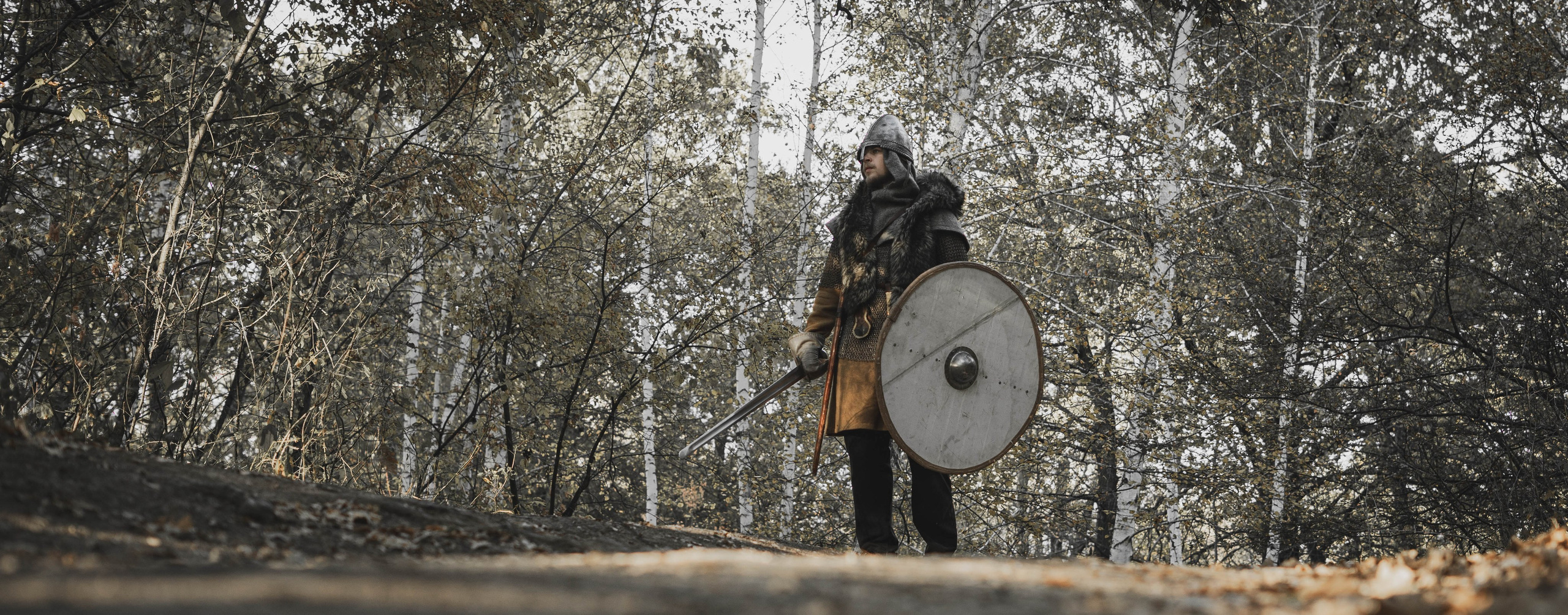 Викинг. Ab extra