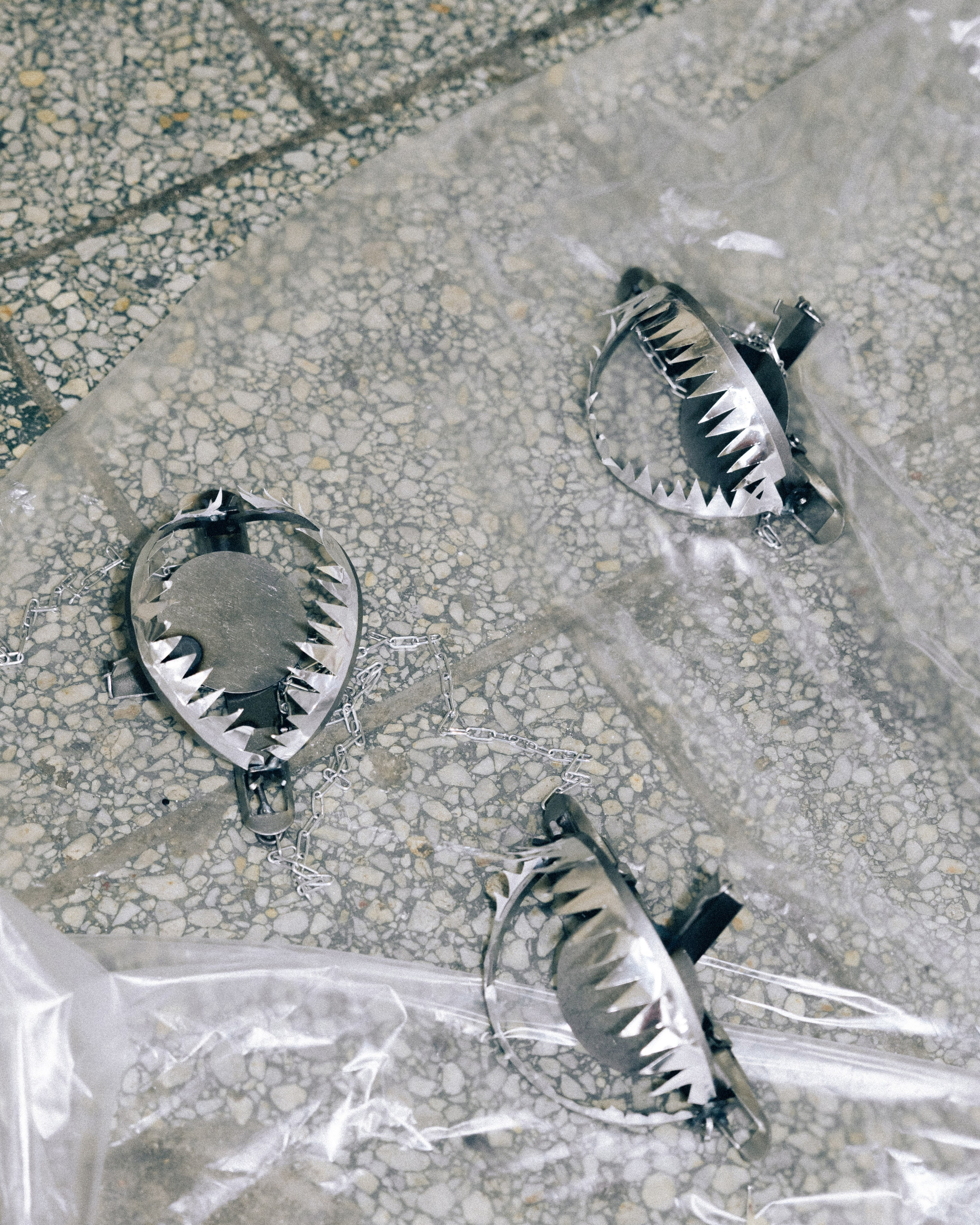 Мария и Василий. Фотограф в Ростове-на-Дону