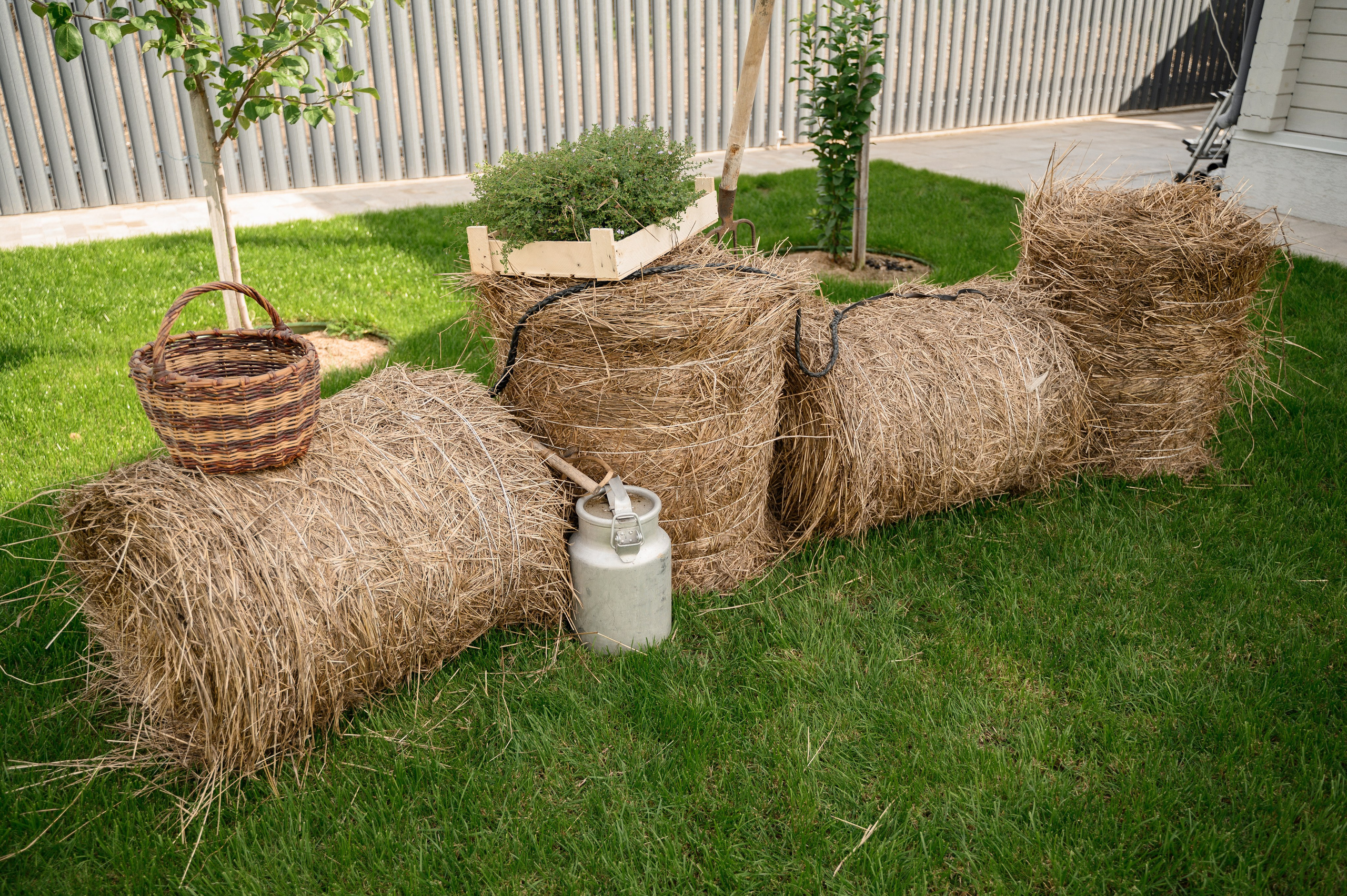 Артём и Татьяна. Свадебный и Семейный фотограф в Абакане, Красноярске