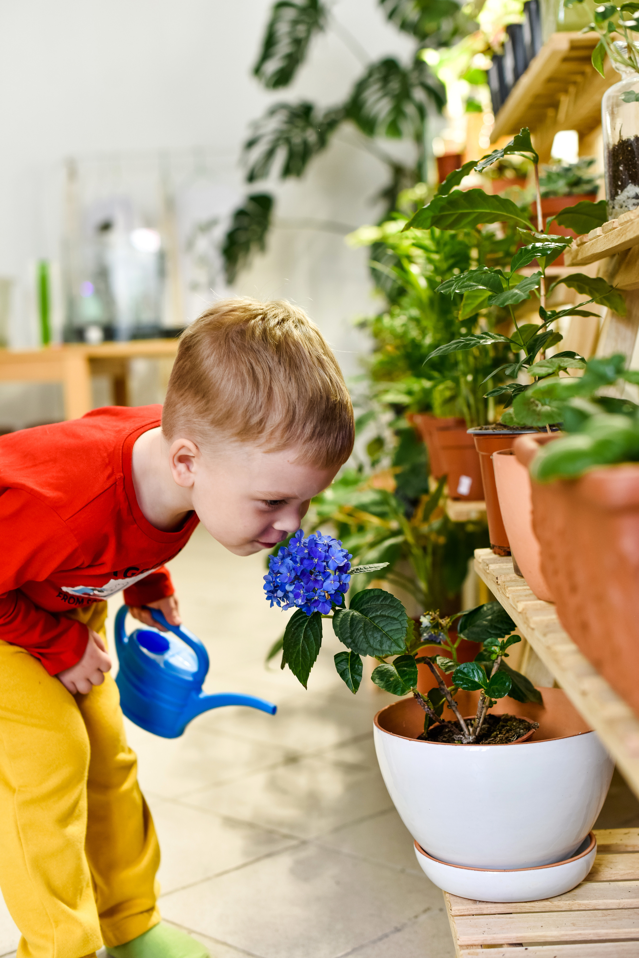 Дашенька и Арсений