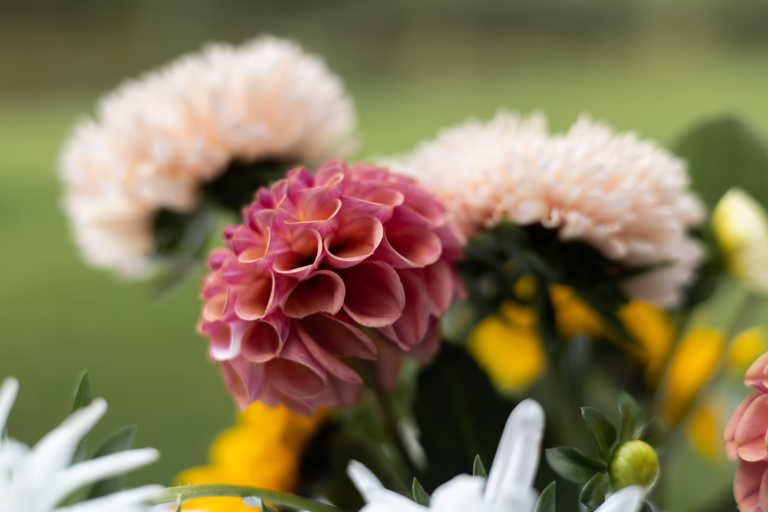 ДИНИЯ. Фотограф Элла Ефимова