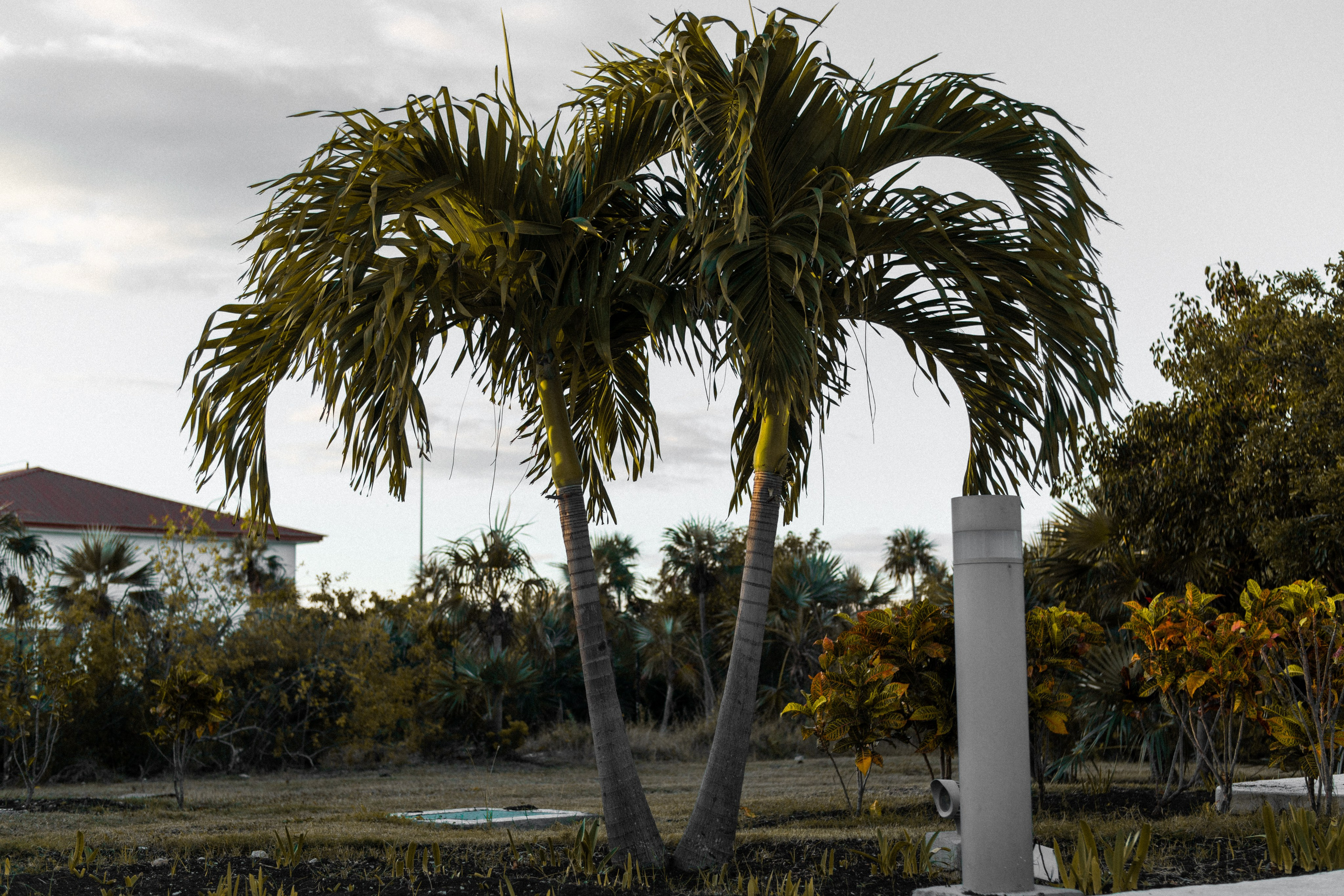 Фотограф для побега Анталия, будуарная фотография Анталия, спортивный фотограф Анталия, фотография изящных искусств Анталия, фуд фотография Анталия, редакционный фотограф Анталия, фотожурналистика Анталия, чёрно-белая фотография Анталия, пейзажная фотография Анталия, подводная фотография Анталия, приключенческий фотограф Анталия, гламурная фотография Анталия, фотограф на фестивале Анталия, фотография ночной жизни Анталия, услуги по редактированию фотографий Анталия, портреты путешествий Анталия, фотография исторических мест Анталия, фотография живописных видов Анталия, индивидуальные фотосессии Анталия, рекламная фотография Анталия